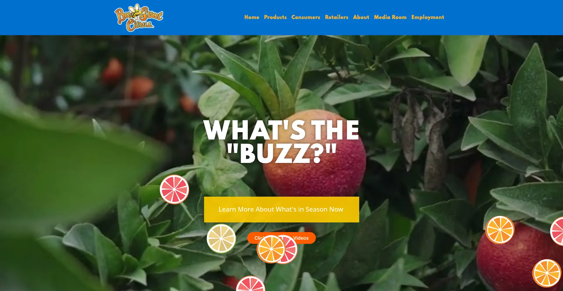 Website screenshot of Beesweetcitrus.com