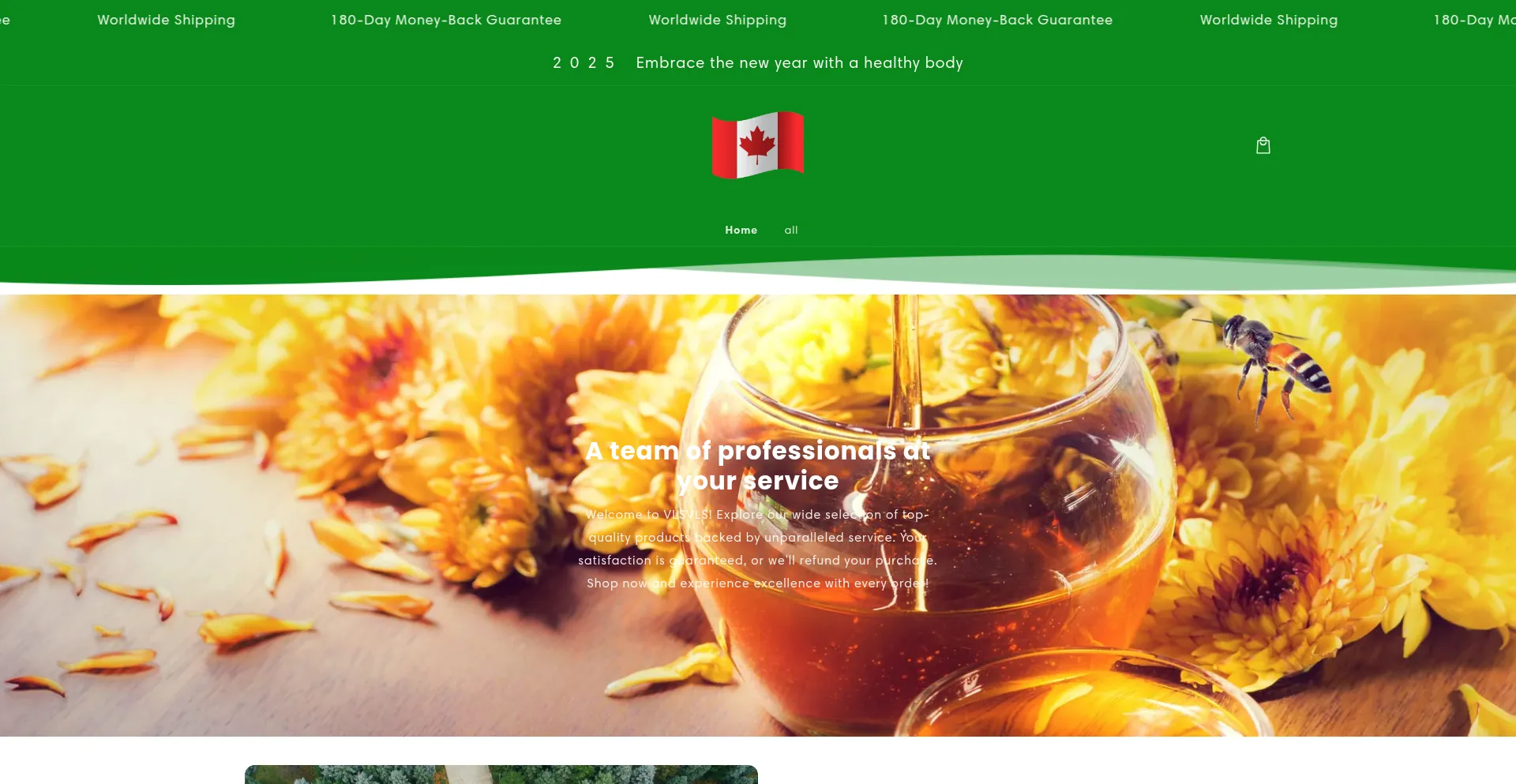 Website screenshot of Beezdd.com