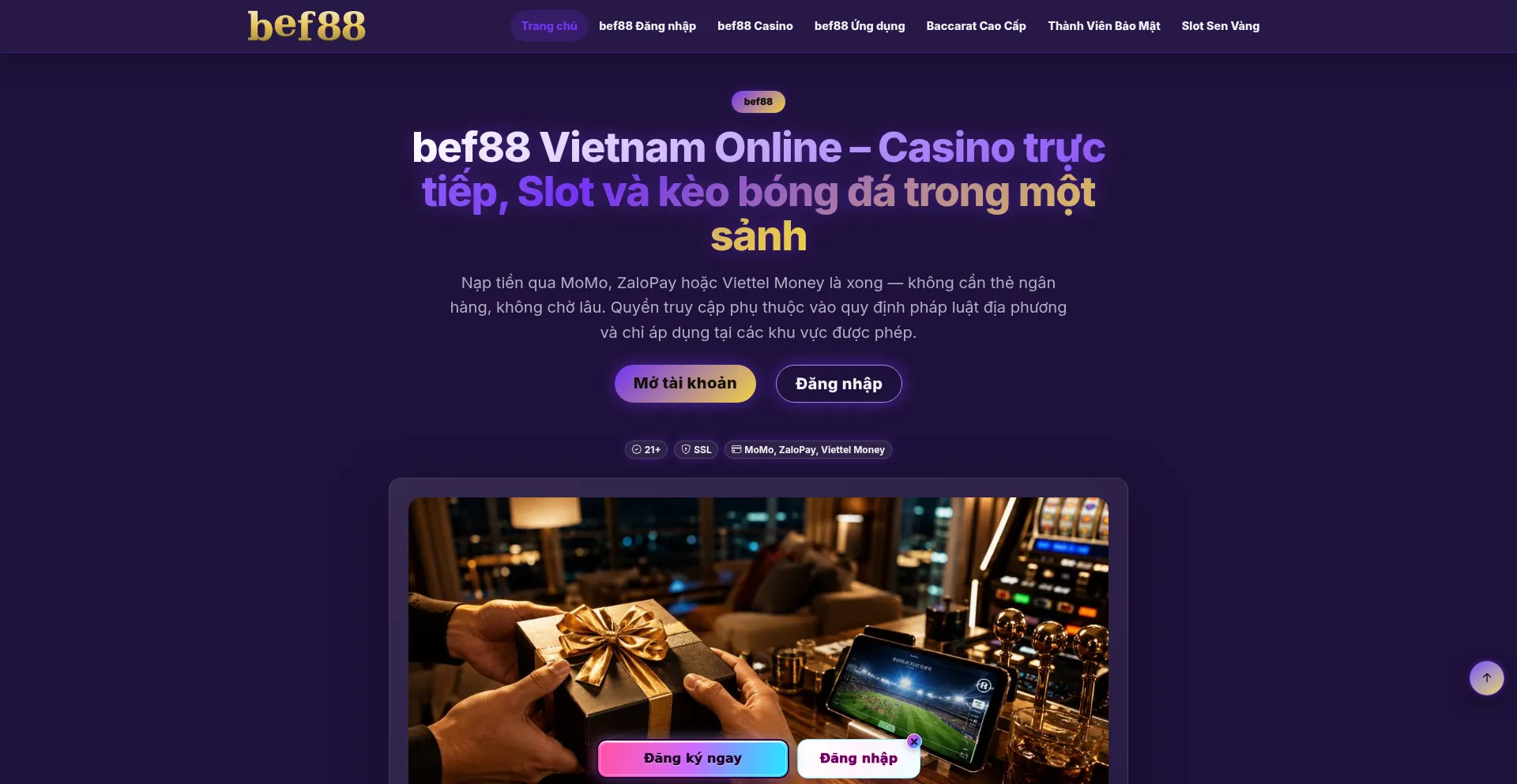 Bef88.bet