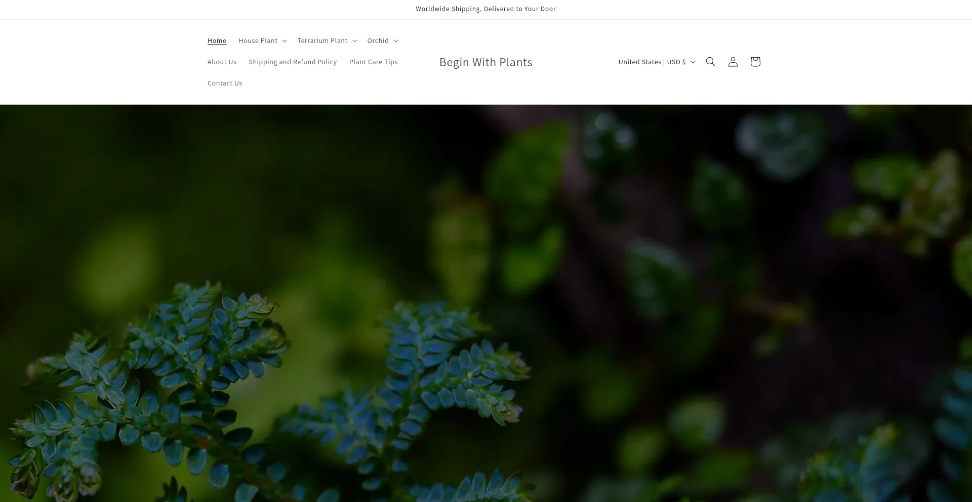 Beginwithplants.com