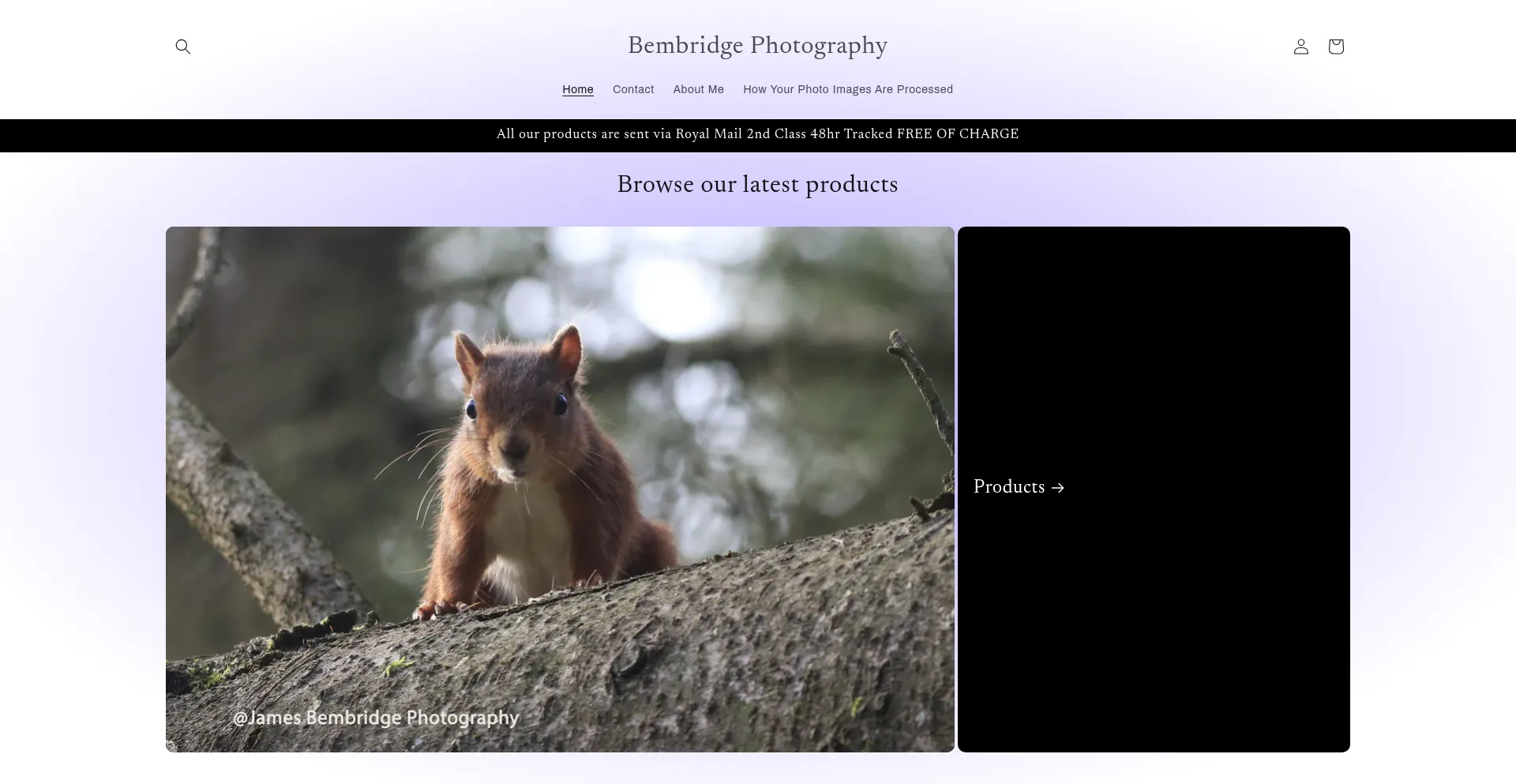 Website screenshot of Bembridgephotography.com