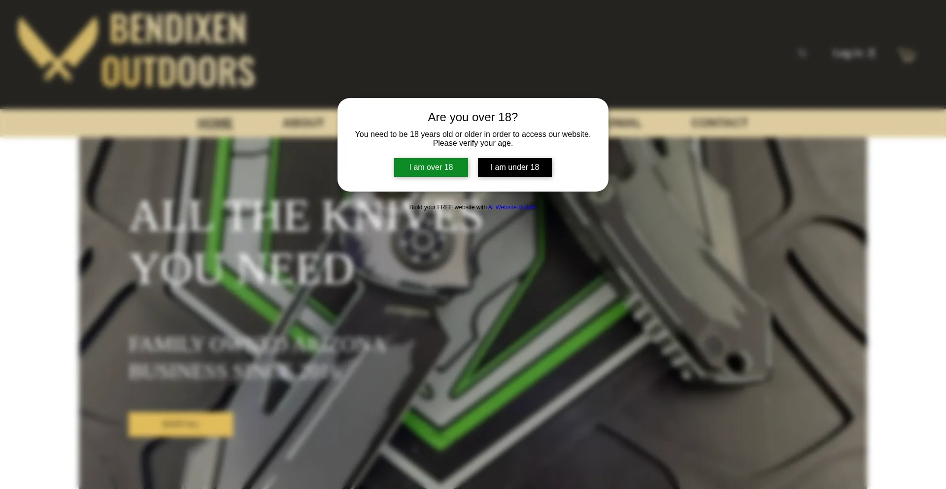 Website screenshot of Bendixenoutdoors.com