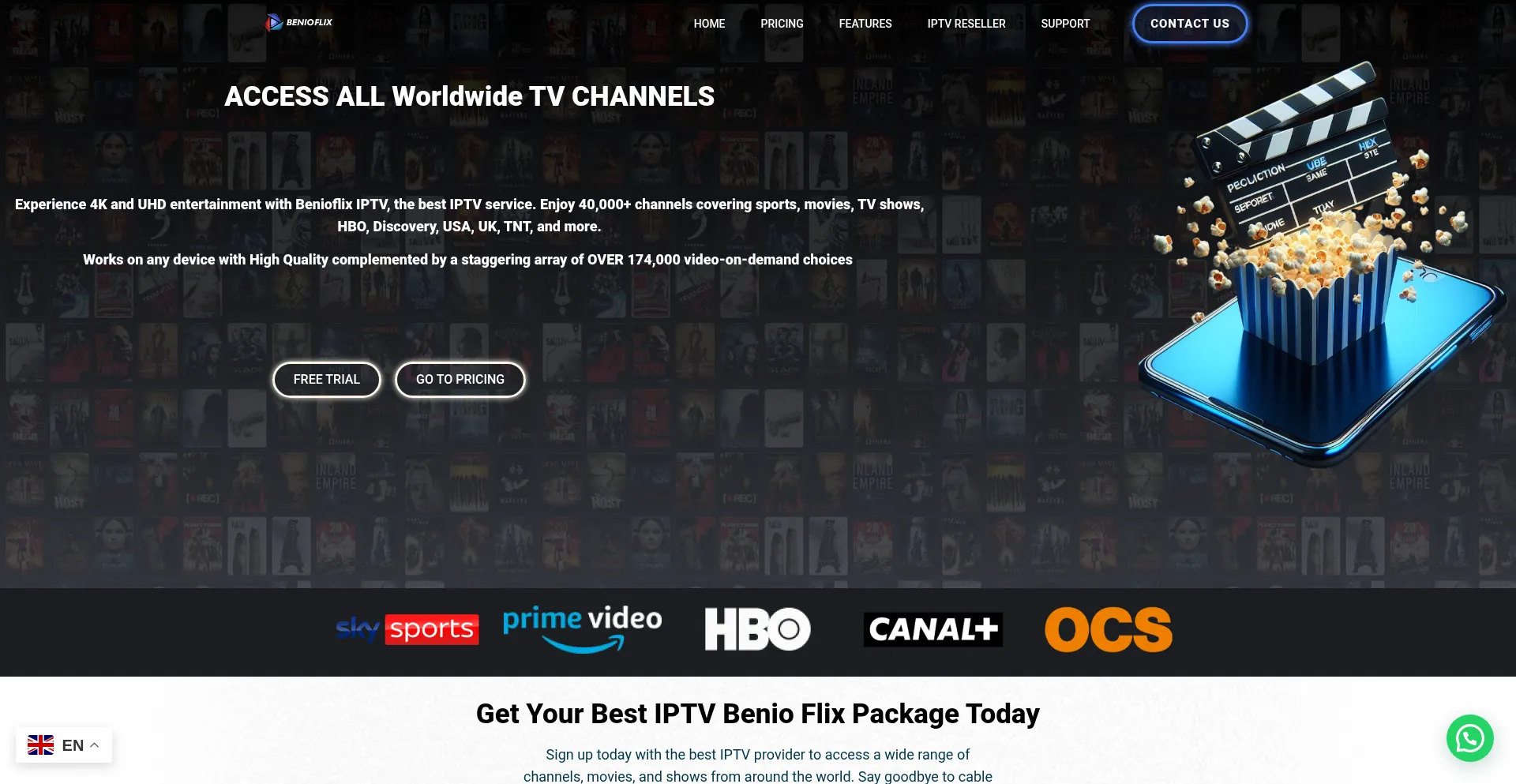 Website screenshot of Benioflix.com