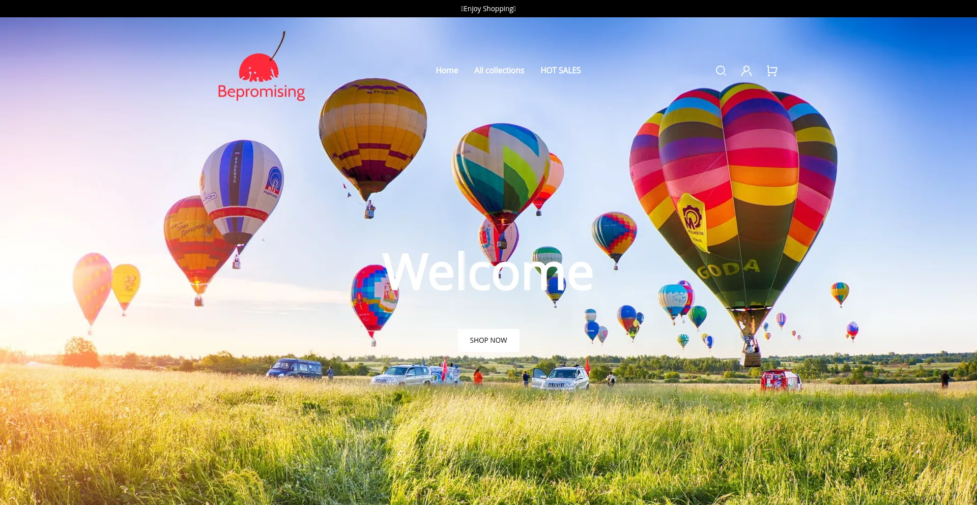 Bepromising.com