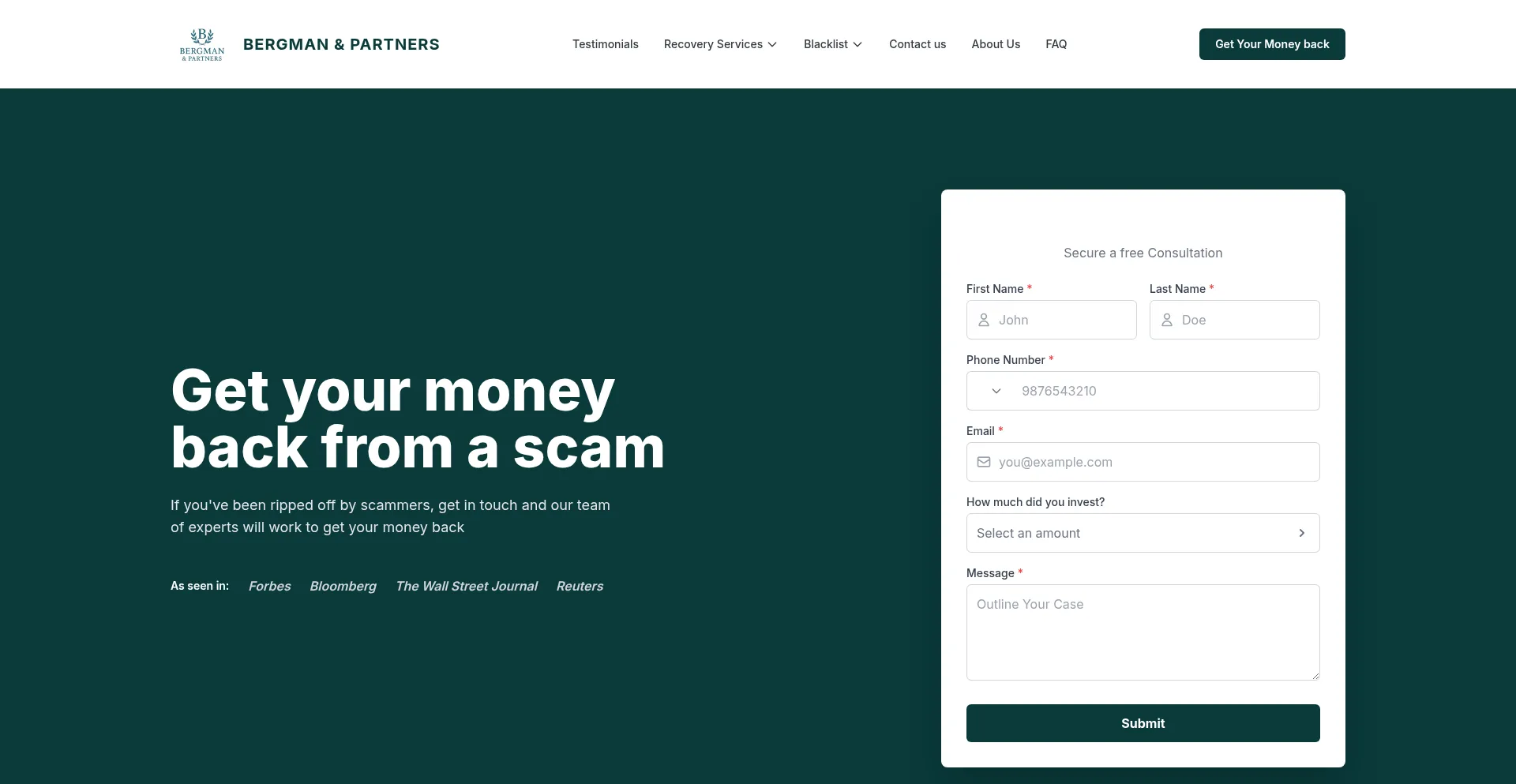 Bergmanpartners.com Screenshot