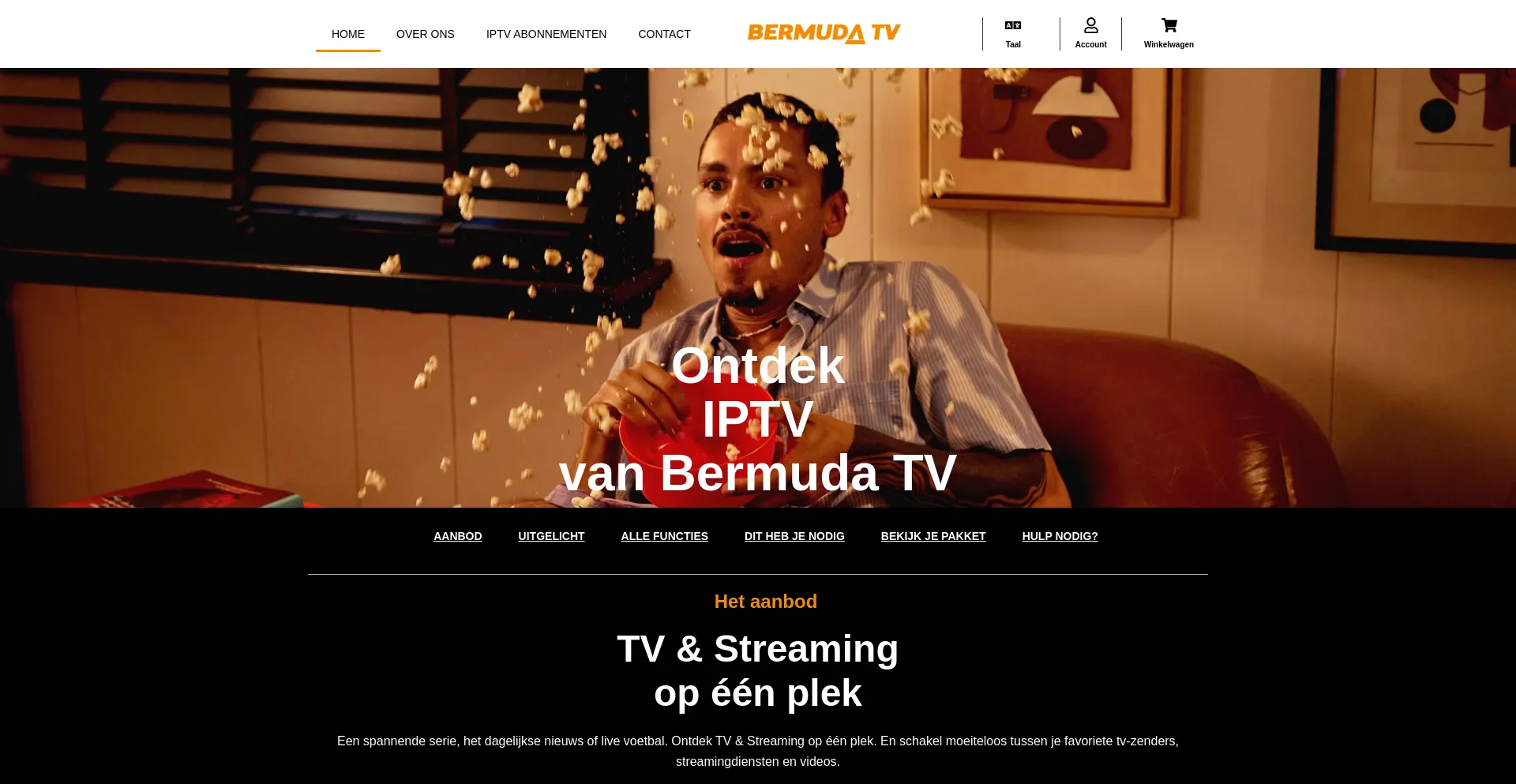Website screenshot of Bermuda-tv.com