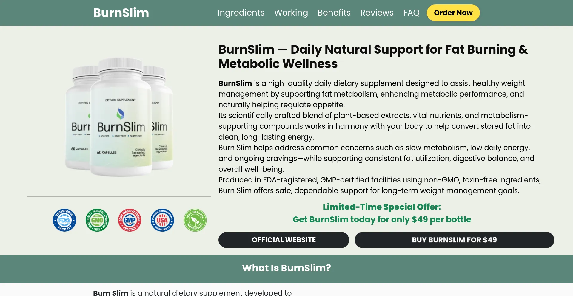 Bernslim.us