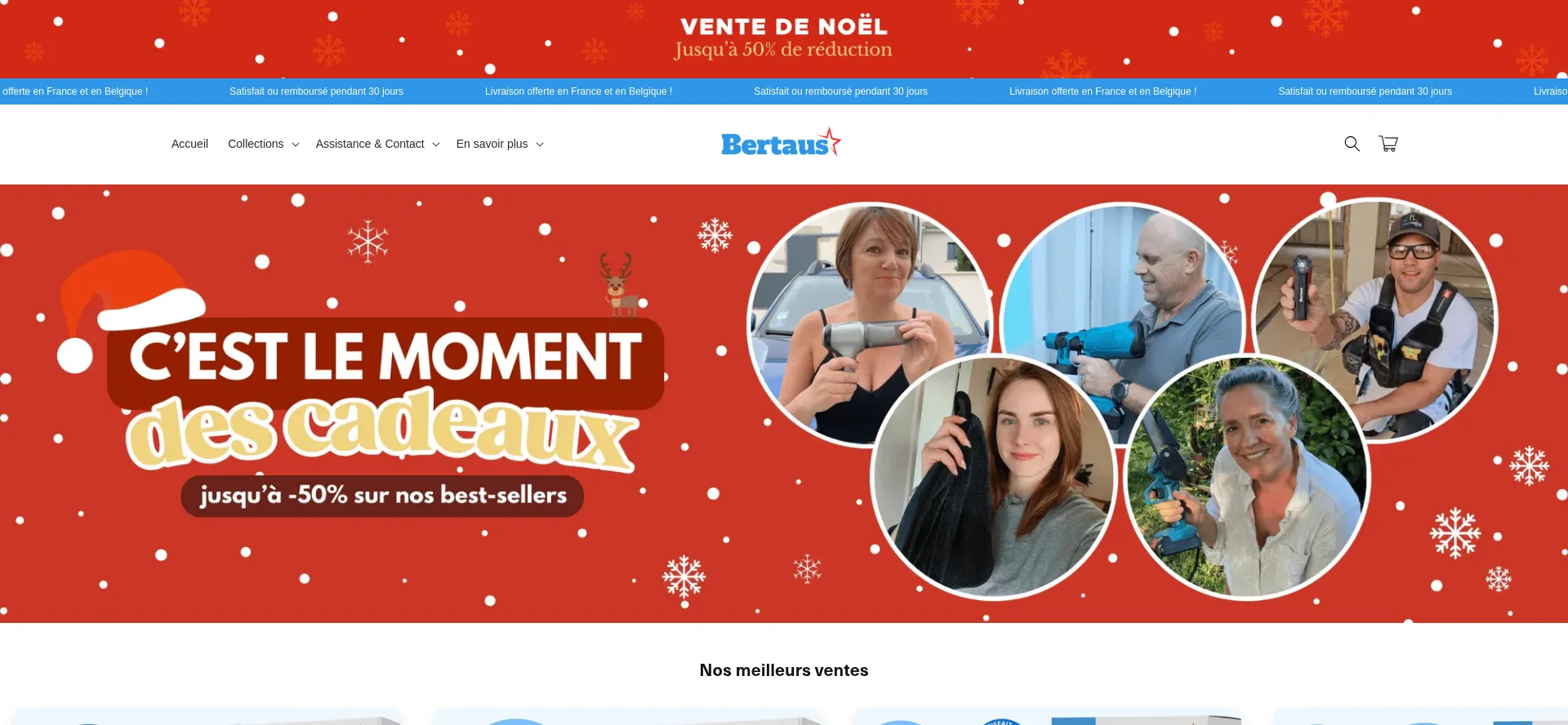 Website screenshot of Bertaus.com