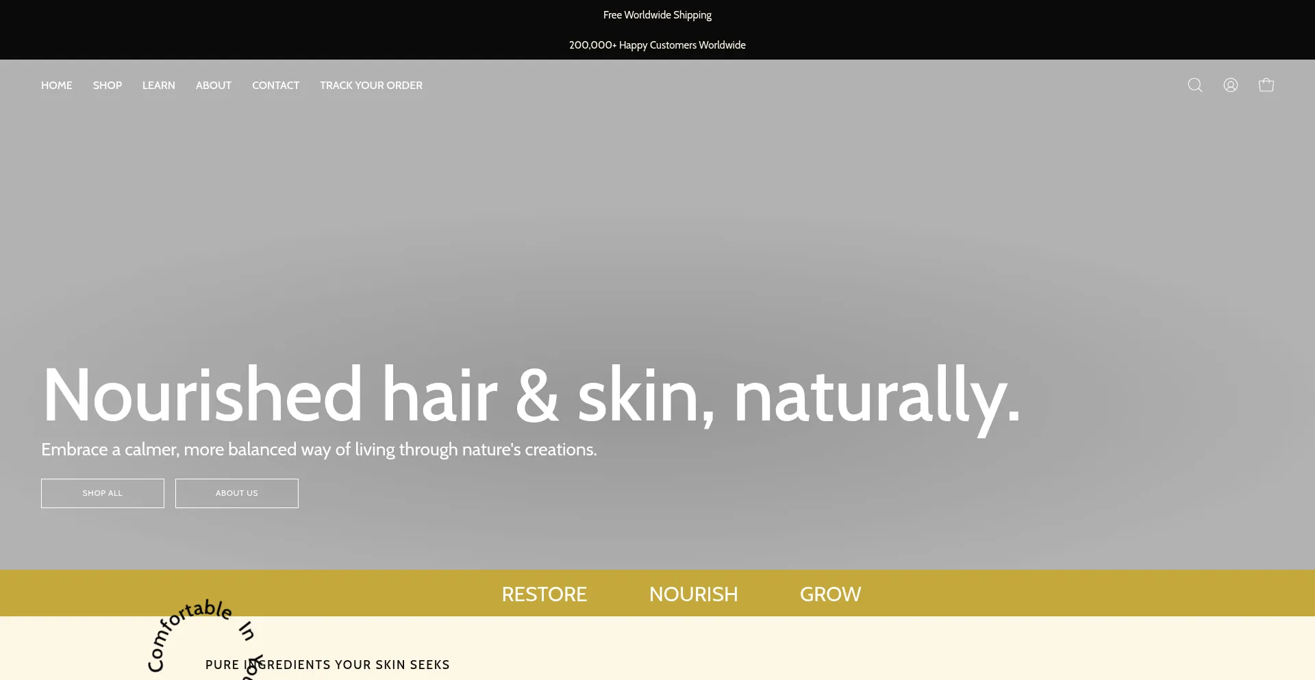 Website screenshot of Besque.co
