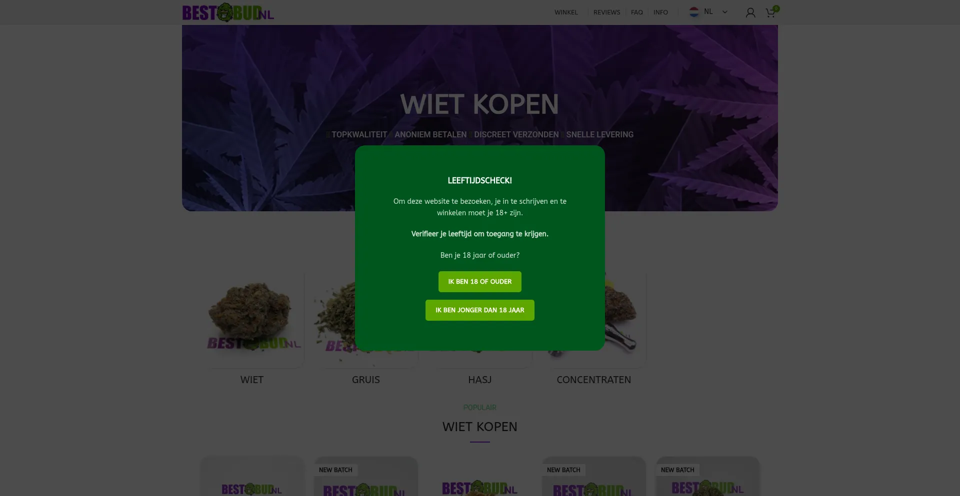 Website screenshot of Bestbud.nl