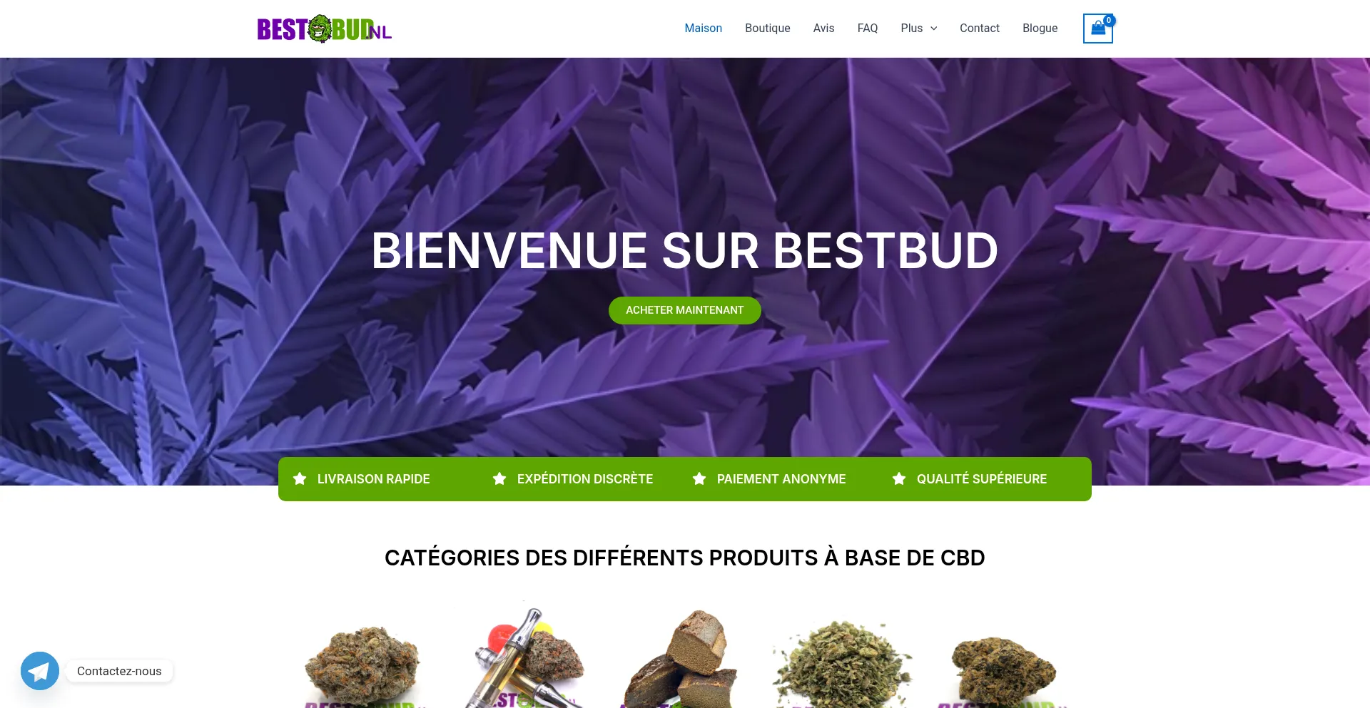Bestbudnl.fr