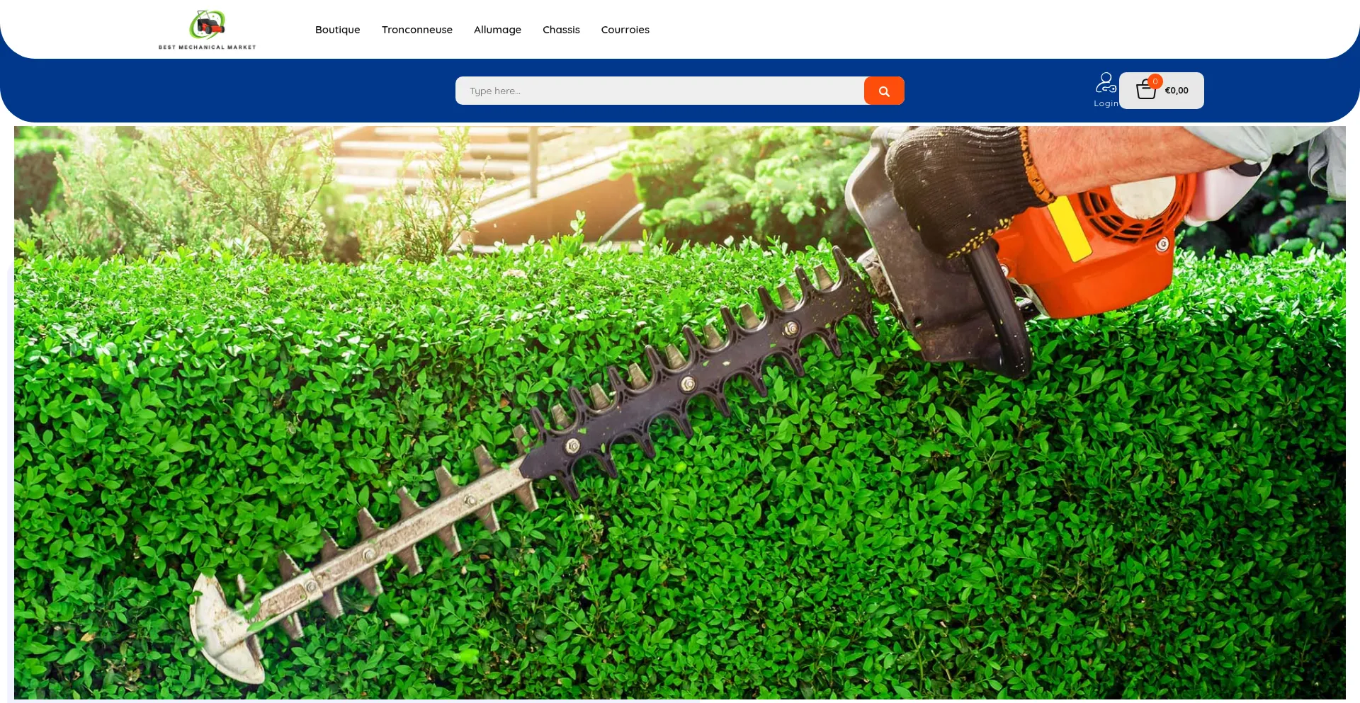 Website screenshot of Bestmechanicalmarket.com