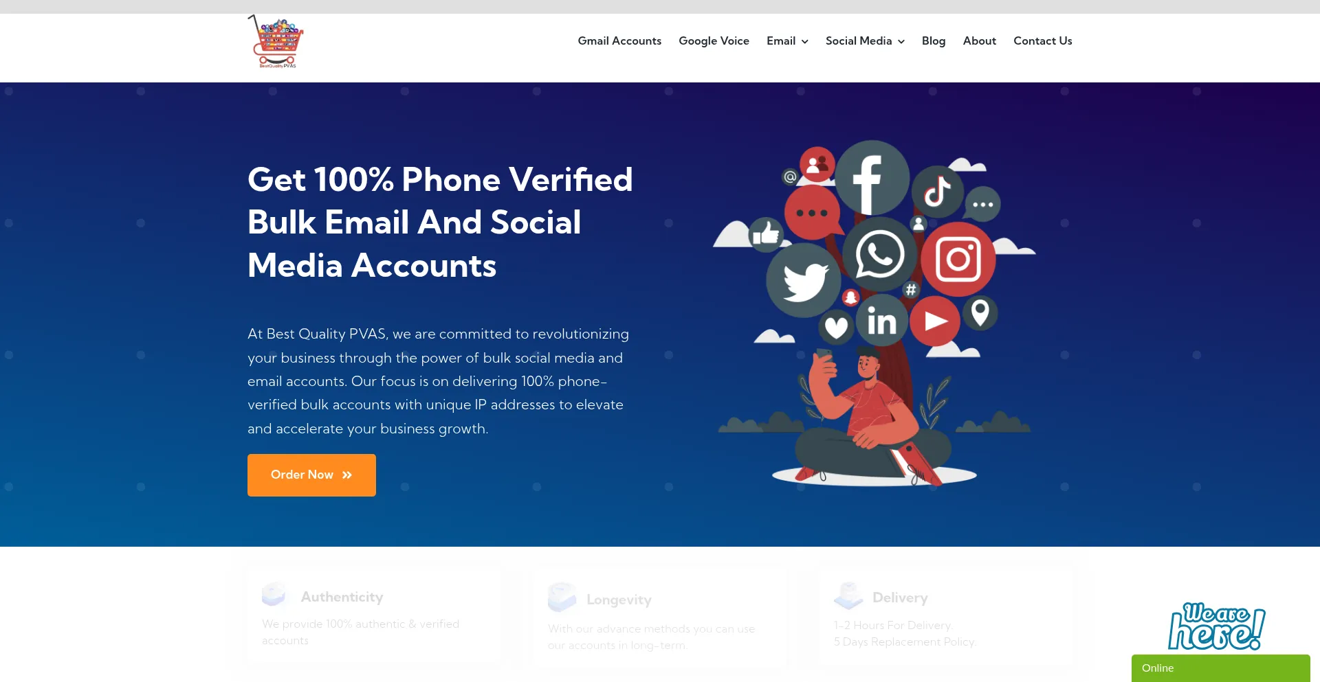 Website screenshot of Bestqualitypvas.com