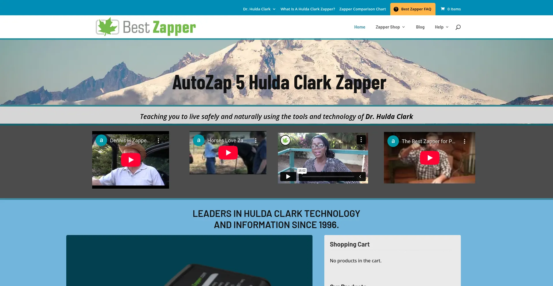 Website screenshot of Bestzapper.com