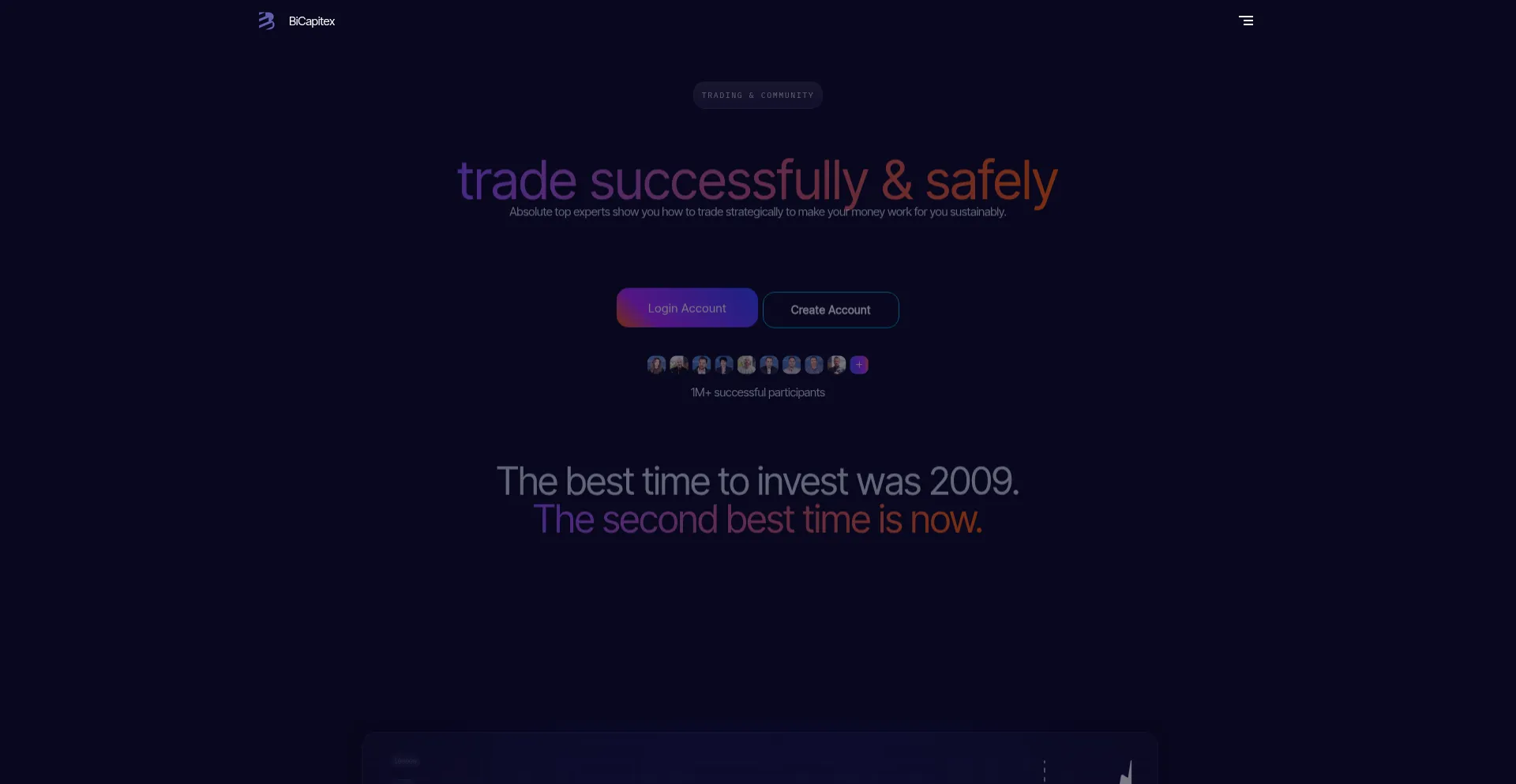 Website screenshot of Bicapitex.com