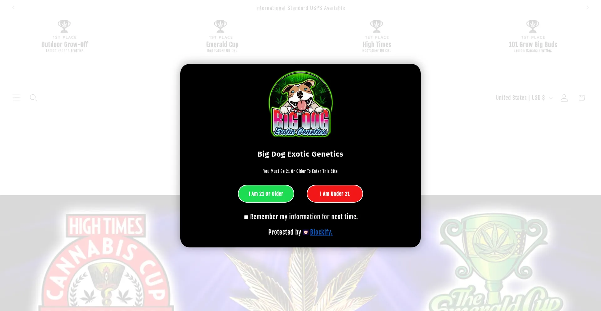 Website screenshot of Bigdognovelties.com