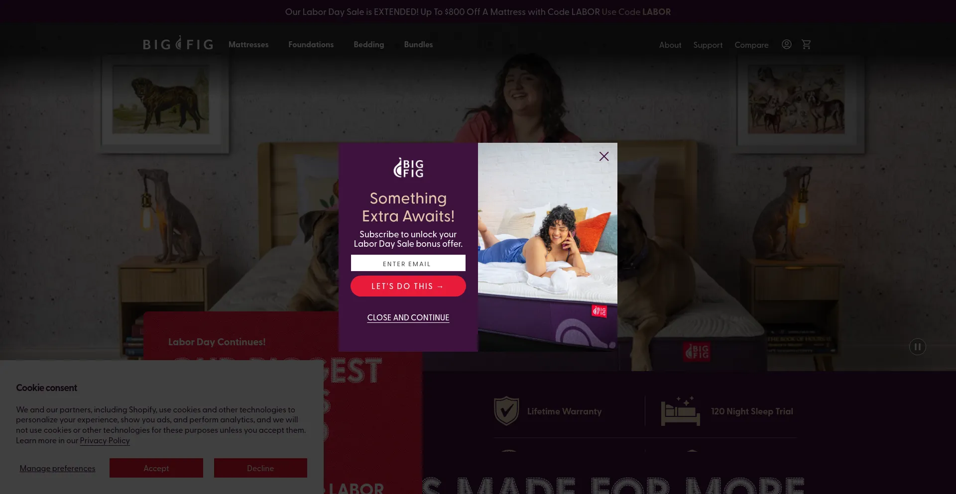 Website screenshot of Bigfigmattress.com
