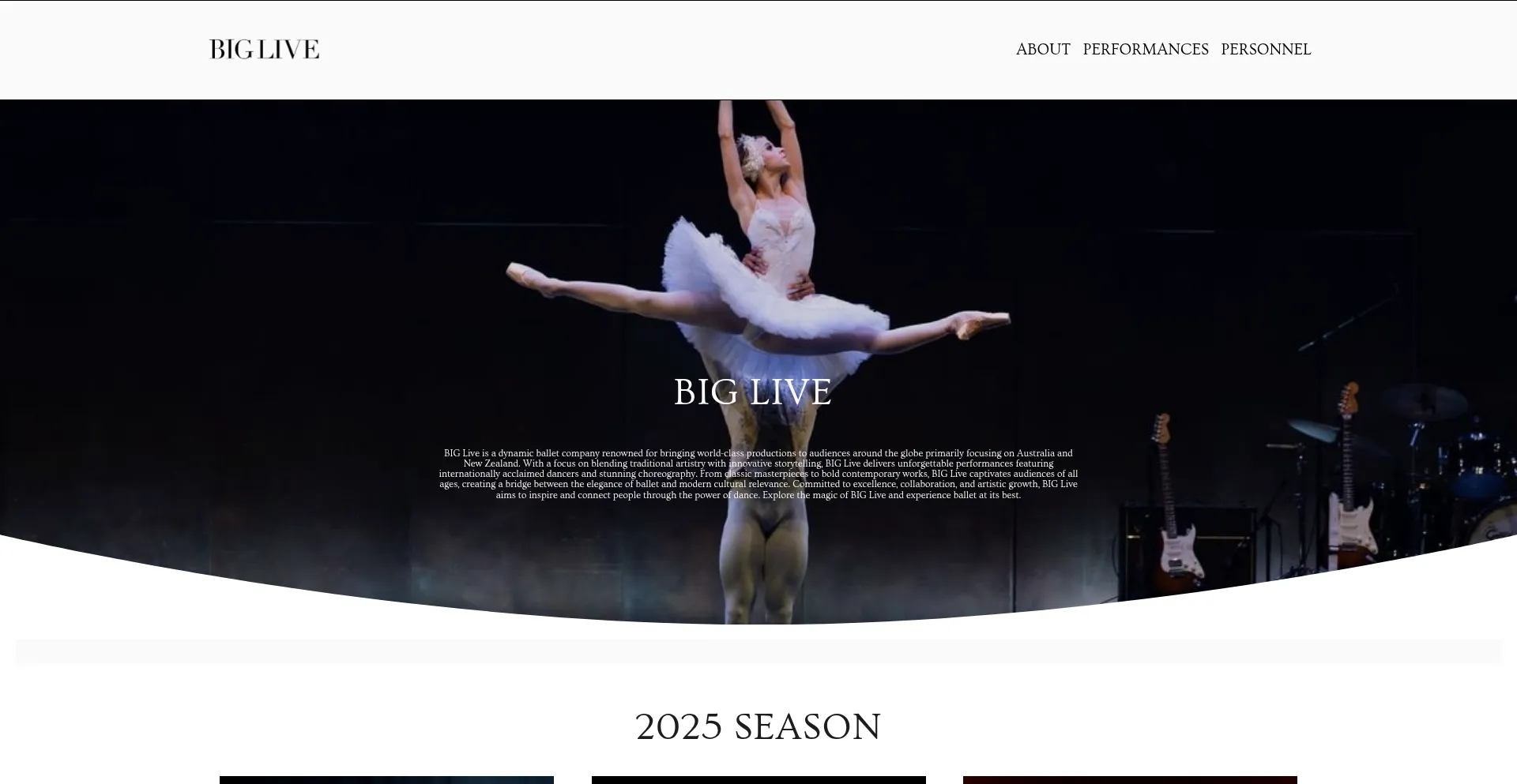 Website screenshot of Bigliveco.com
