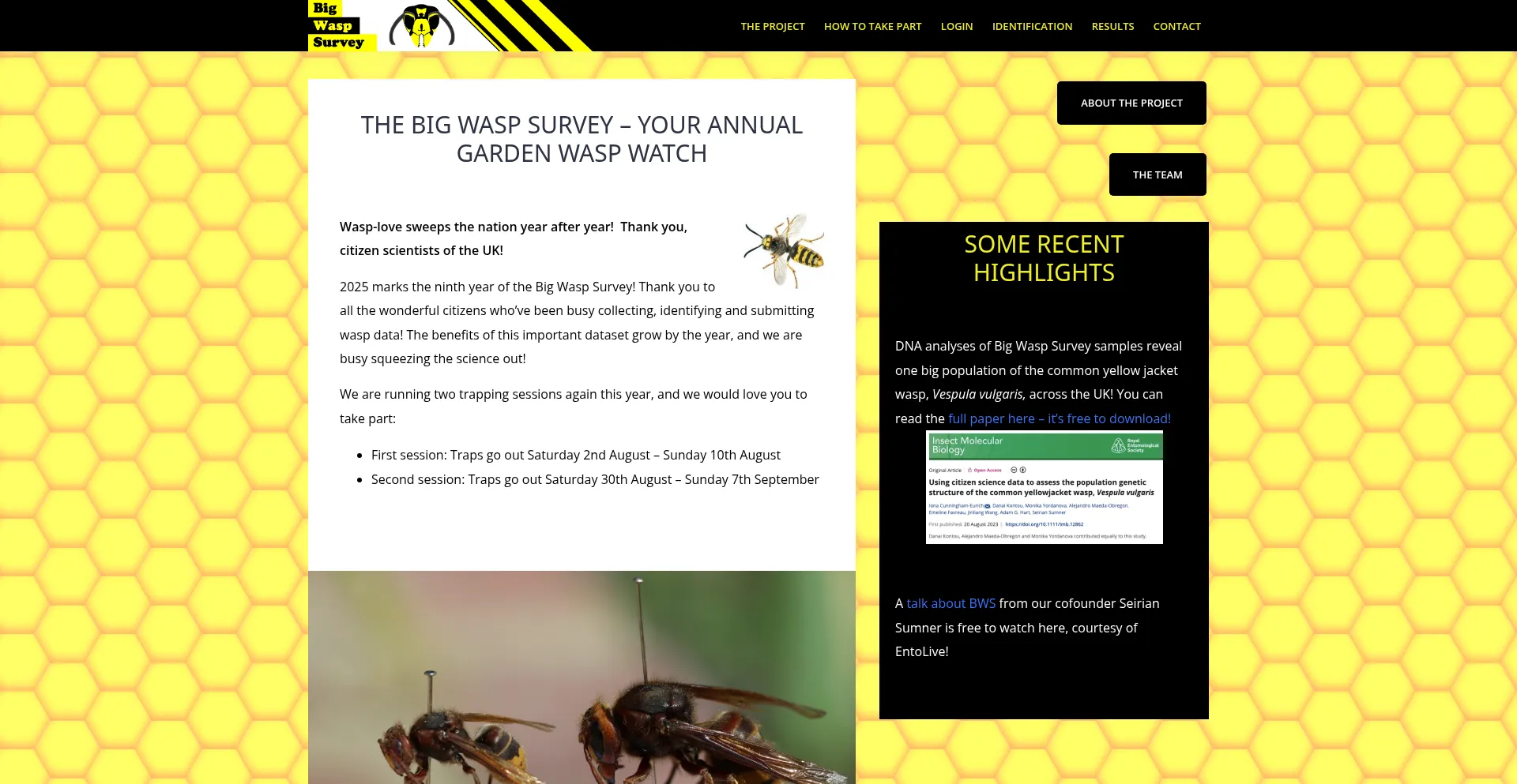 Website screenshot of Bigwaspsurvey.org