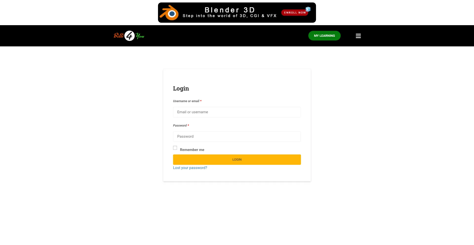 Website screenshot of Billi4you.com