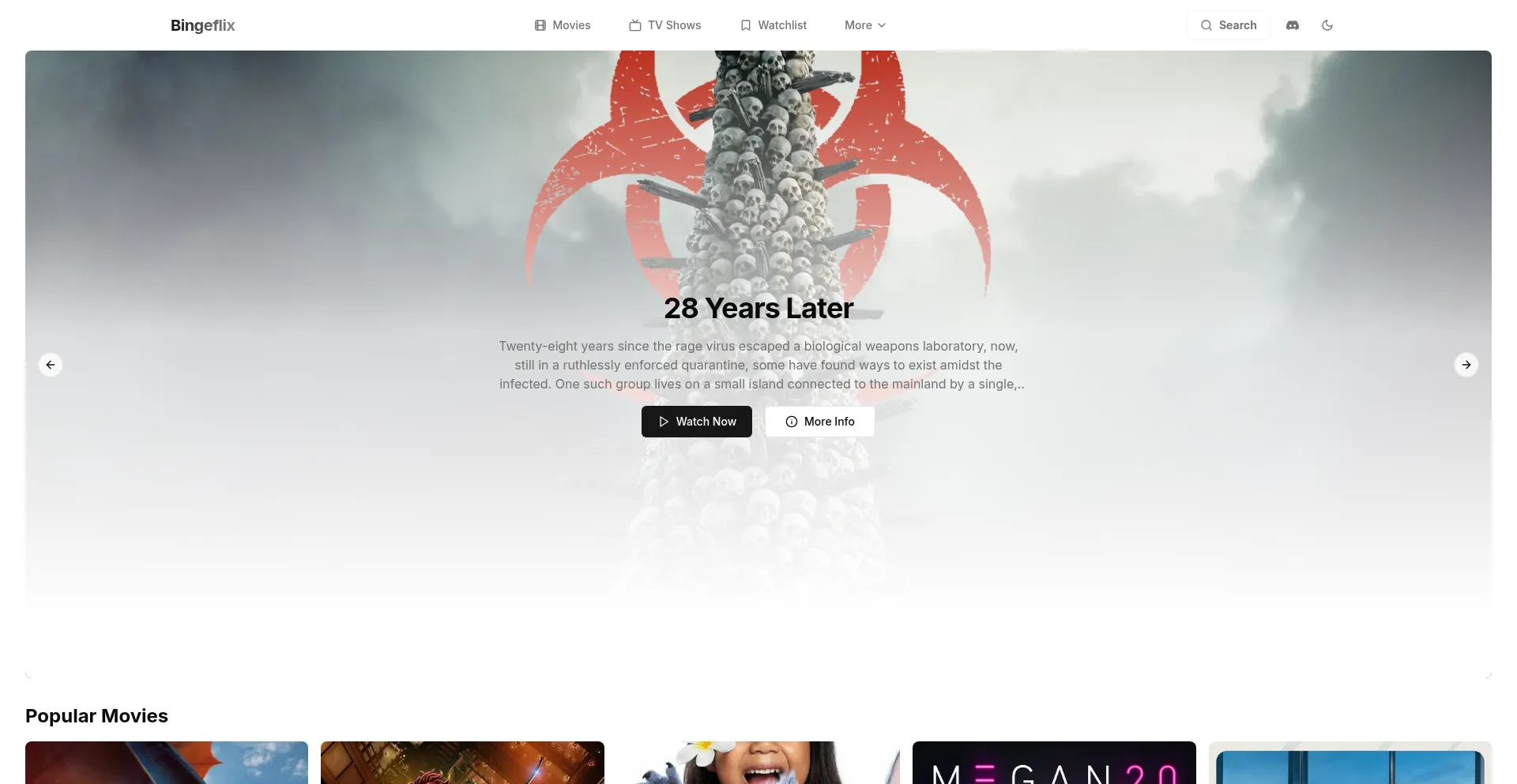 Website screenshot of Bingeflix.tv