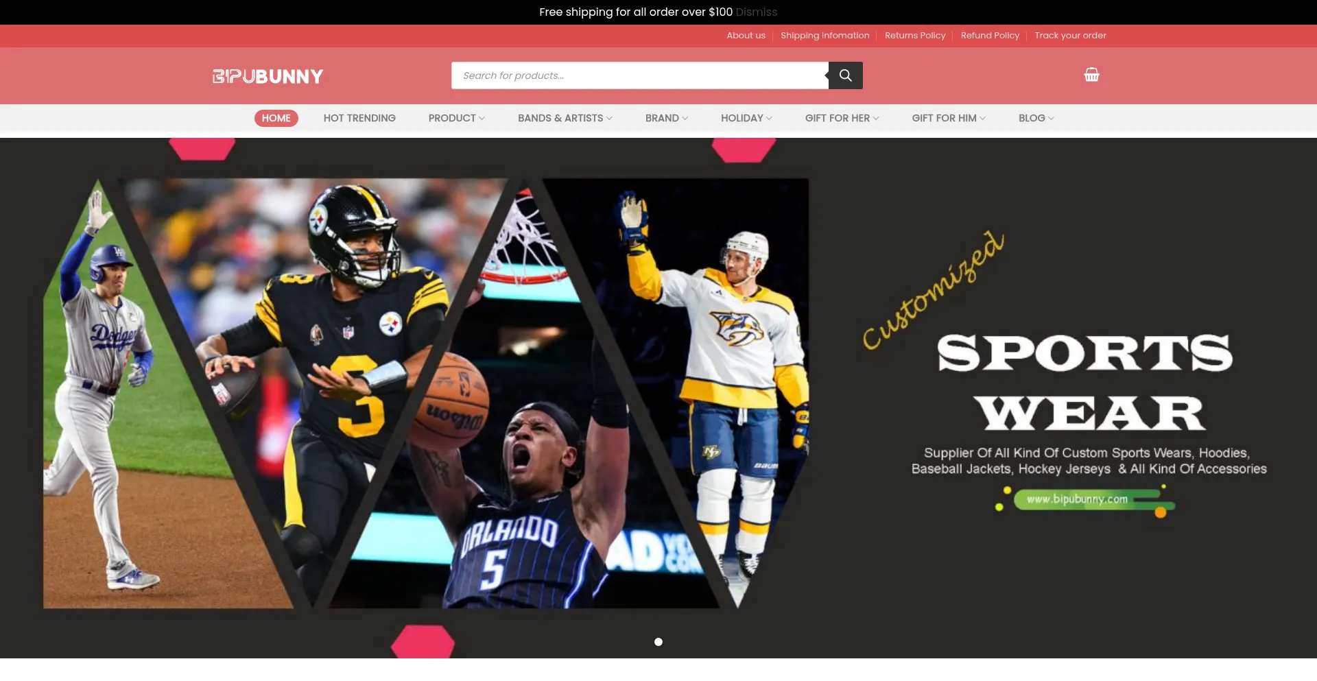 Website screenshot of Bipubunny.com