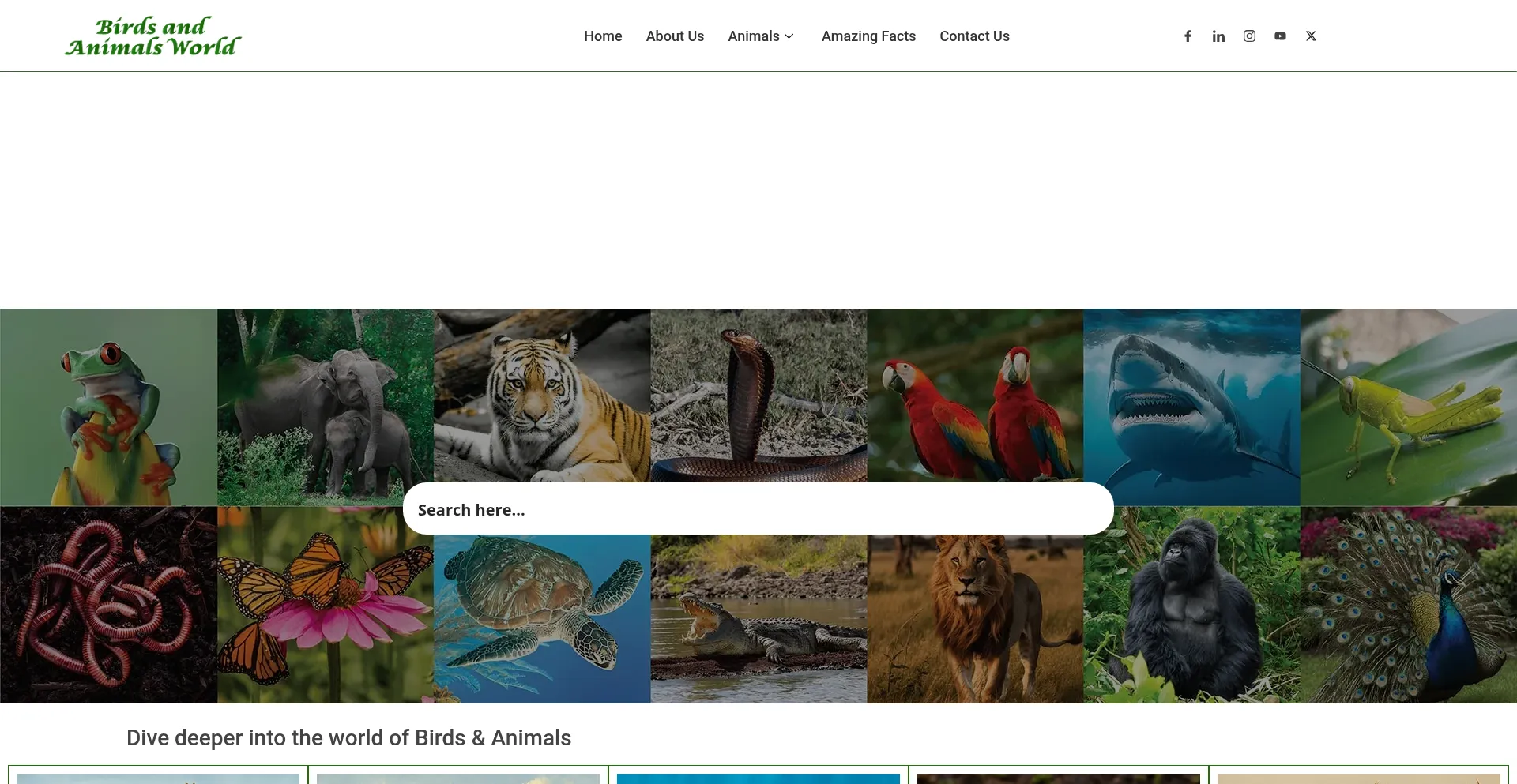Birdsandanimalsworld.com