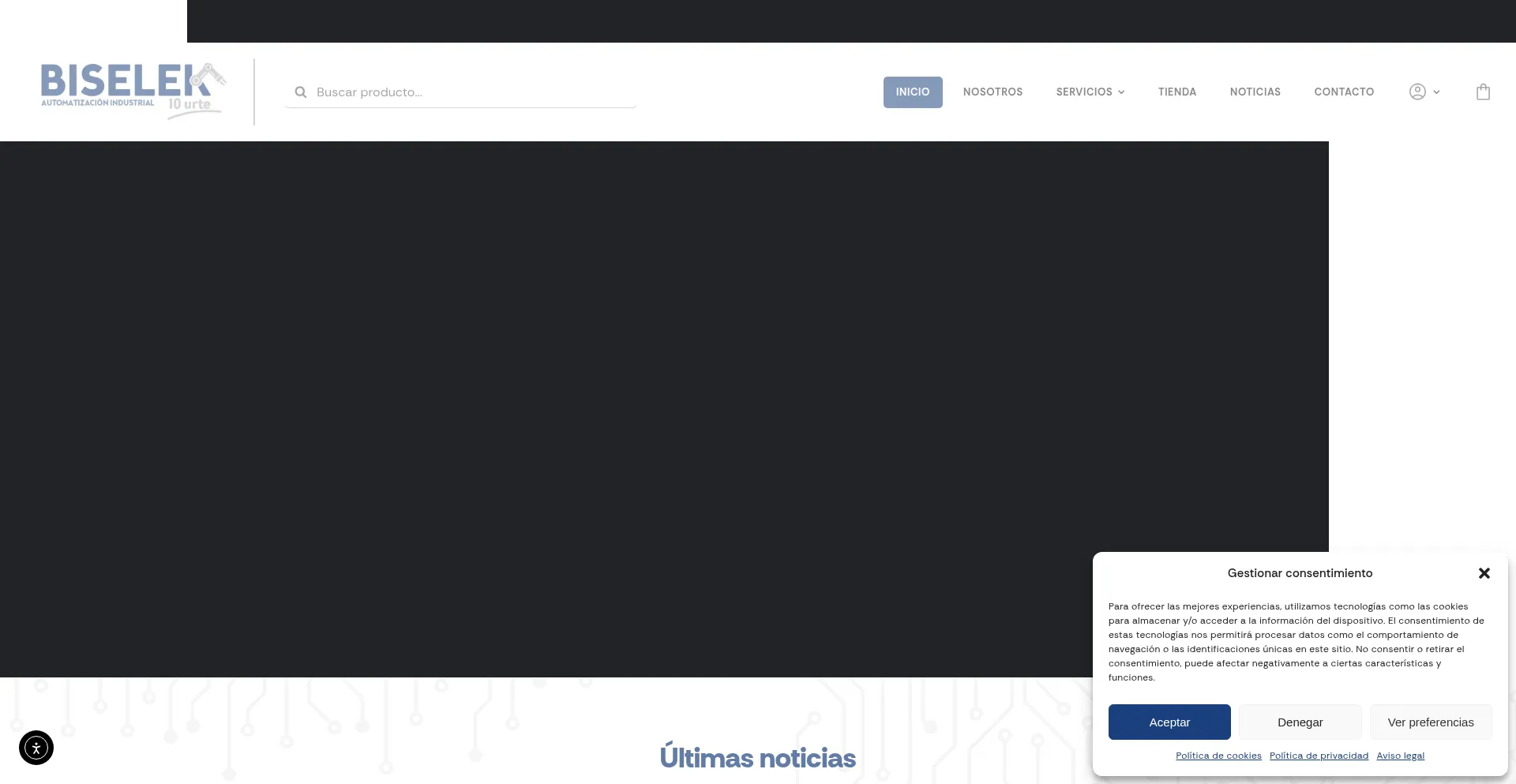 Website screenshot of Biselek.es