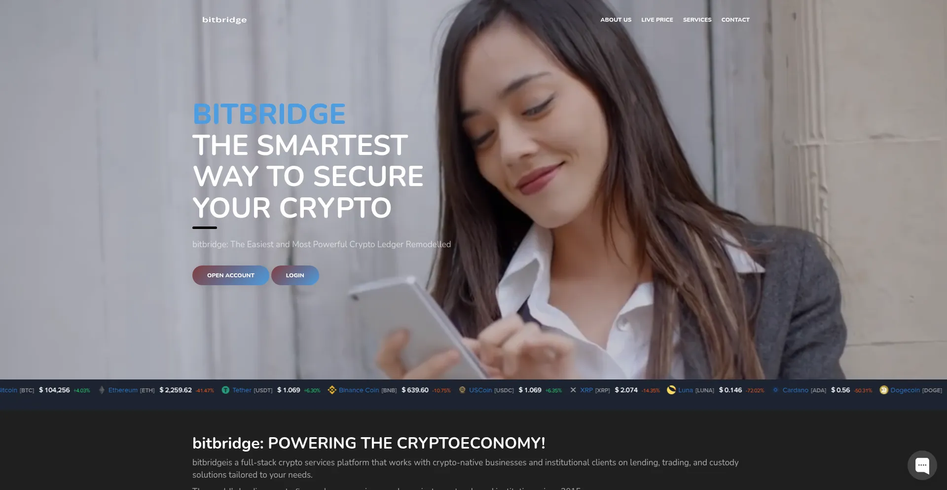 Website screenshot of Bitbridgefx.com