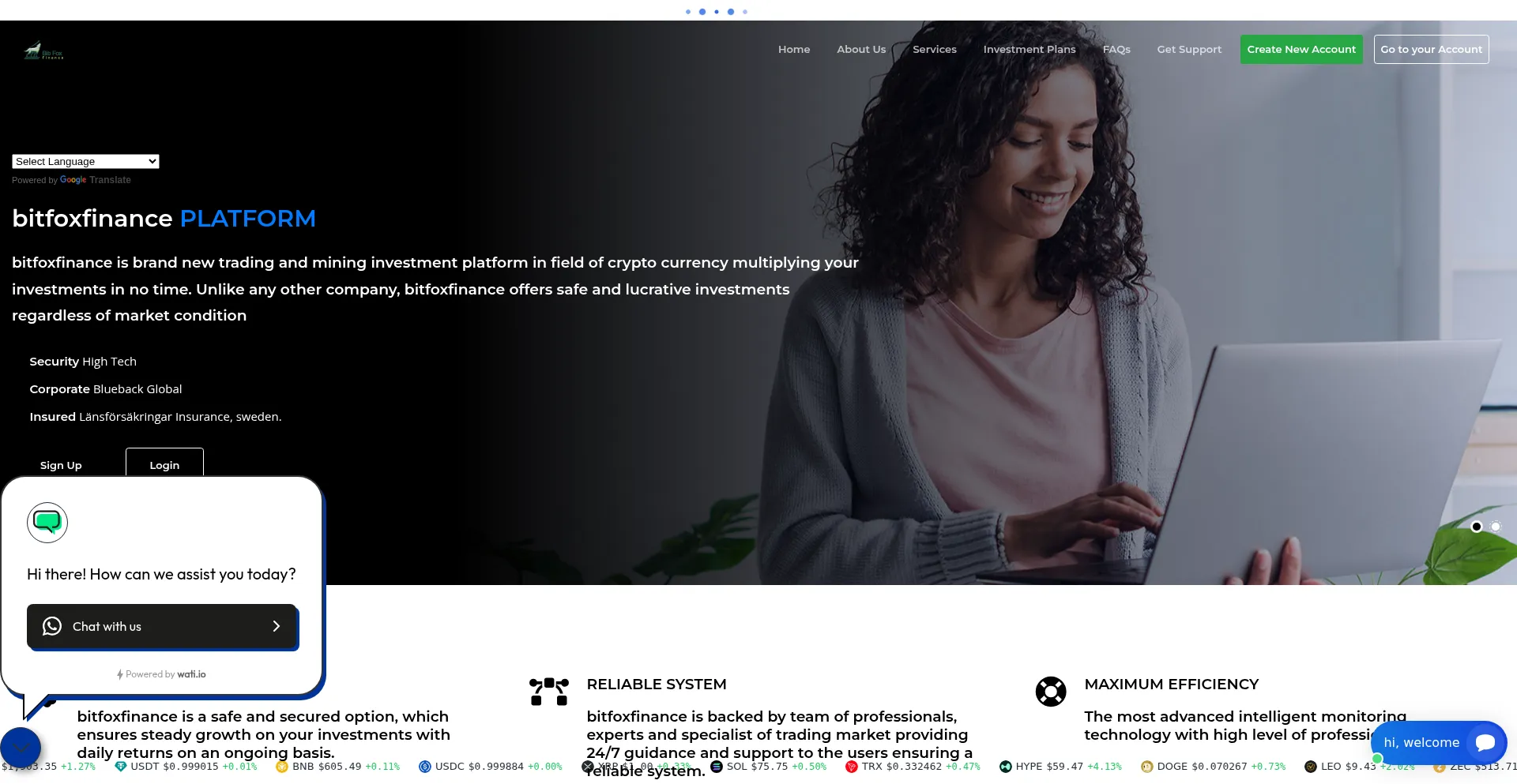 Bitfox-f-inc.com