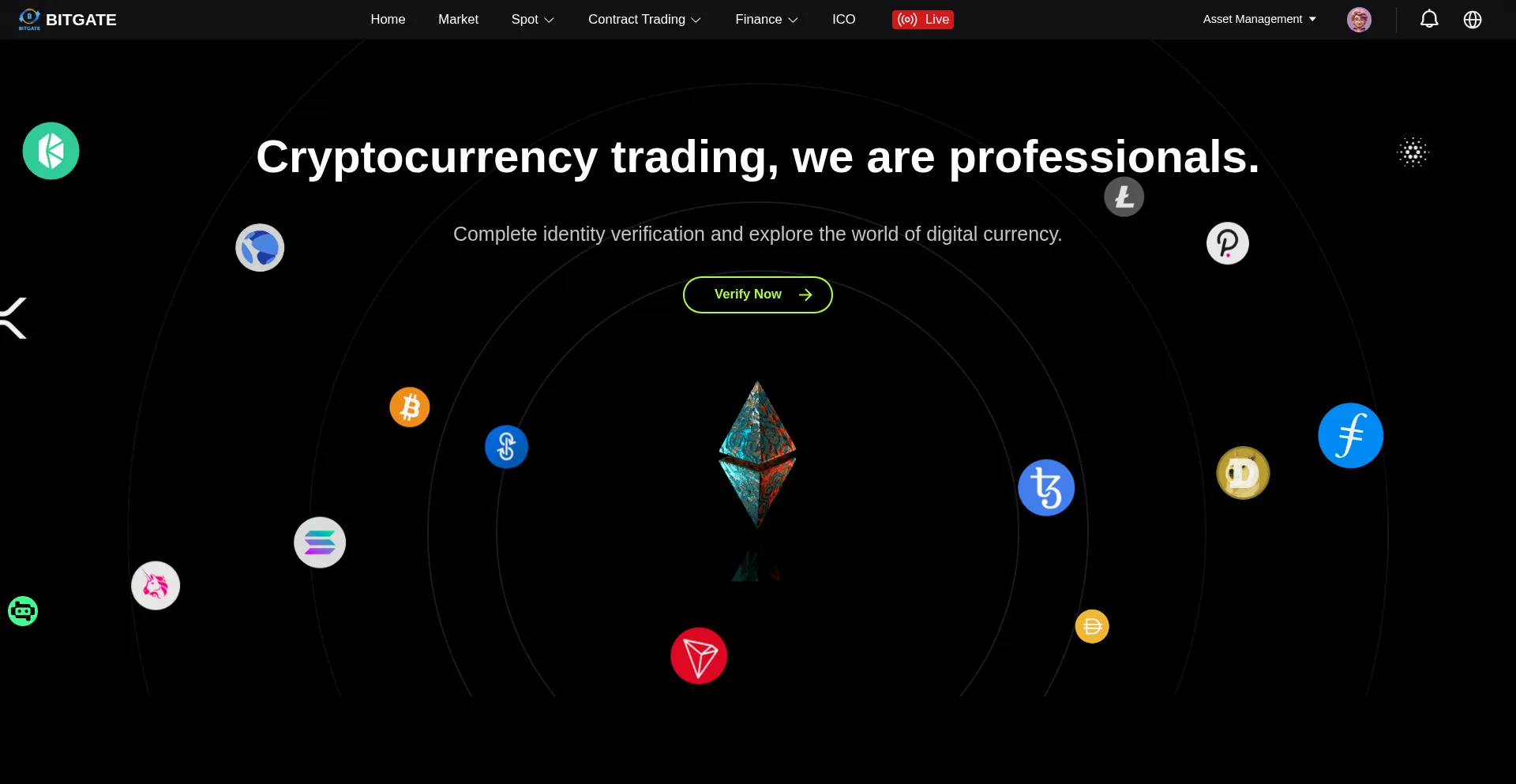 Website screenshot of Bitgatetrade.net