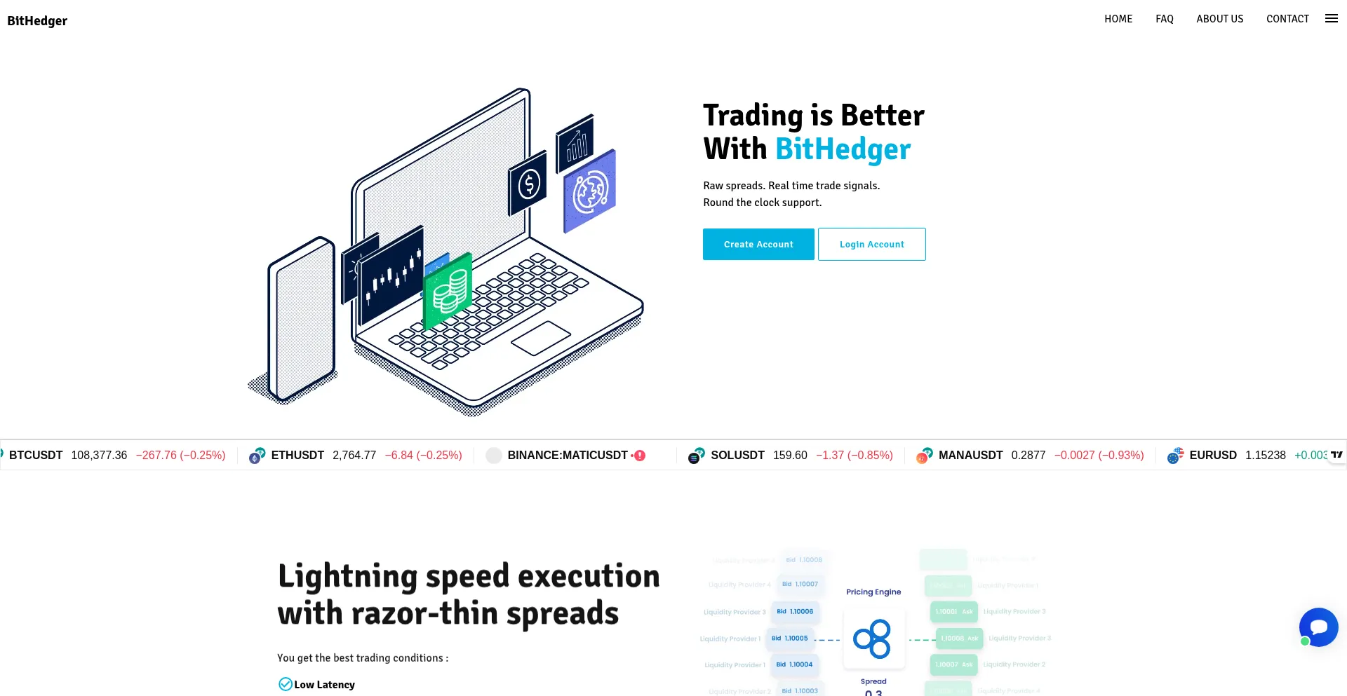 Website screenshot of Bithedger.live