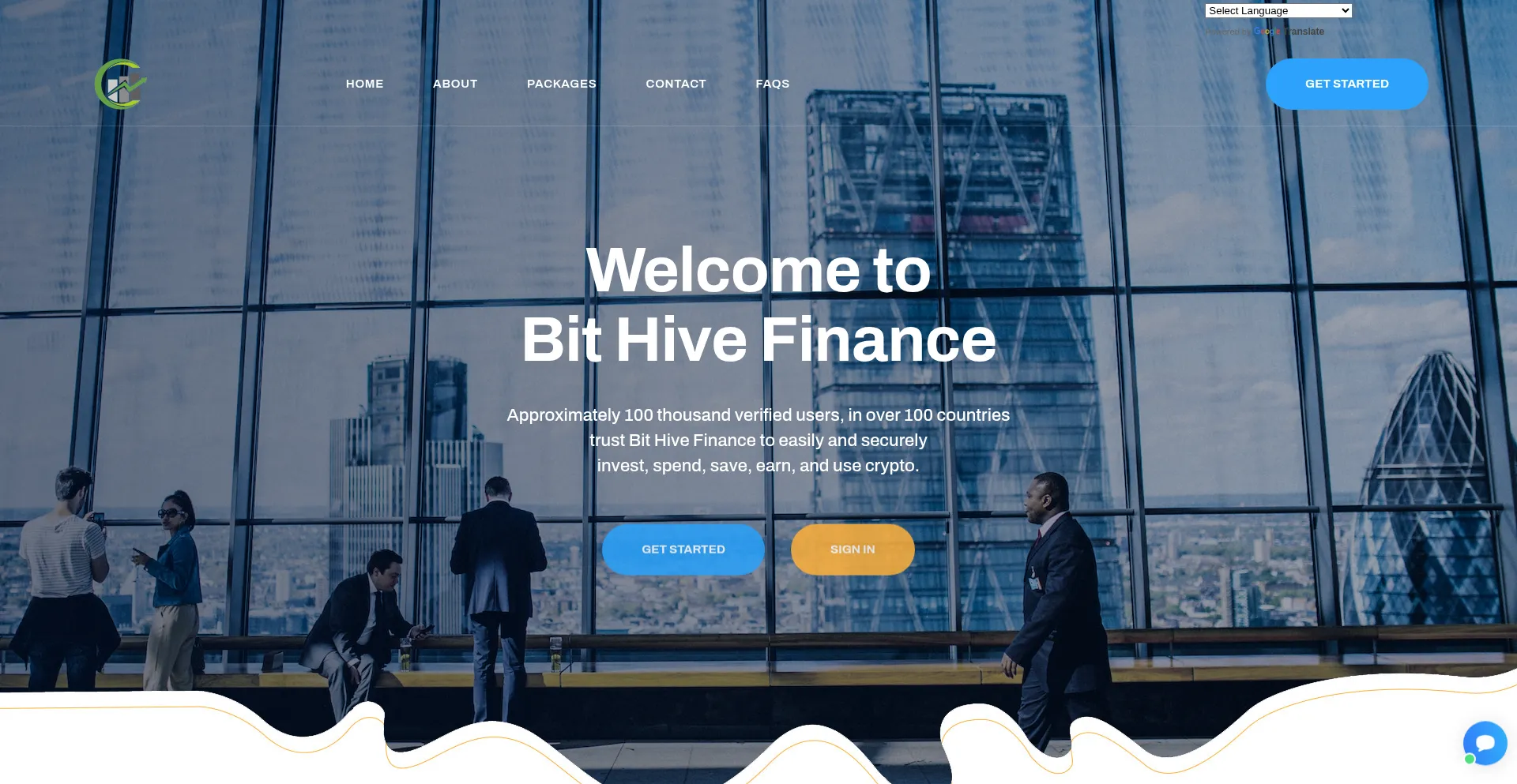 Website screenshot of Bithivefinance.com