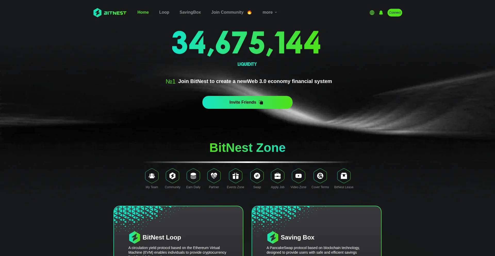 Website screenshot of Bitnest.ac