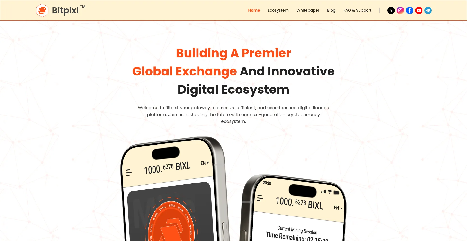Website screenshot of Bitpixl.com