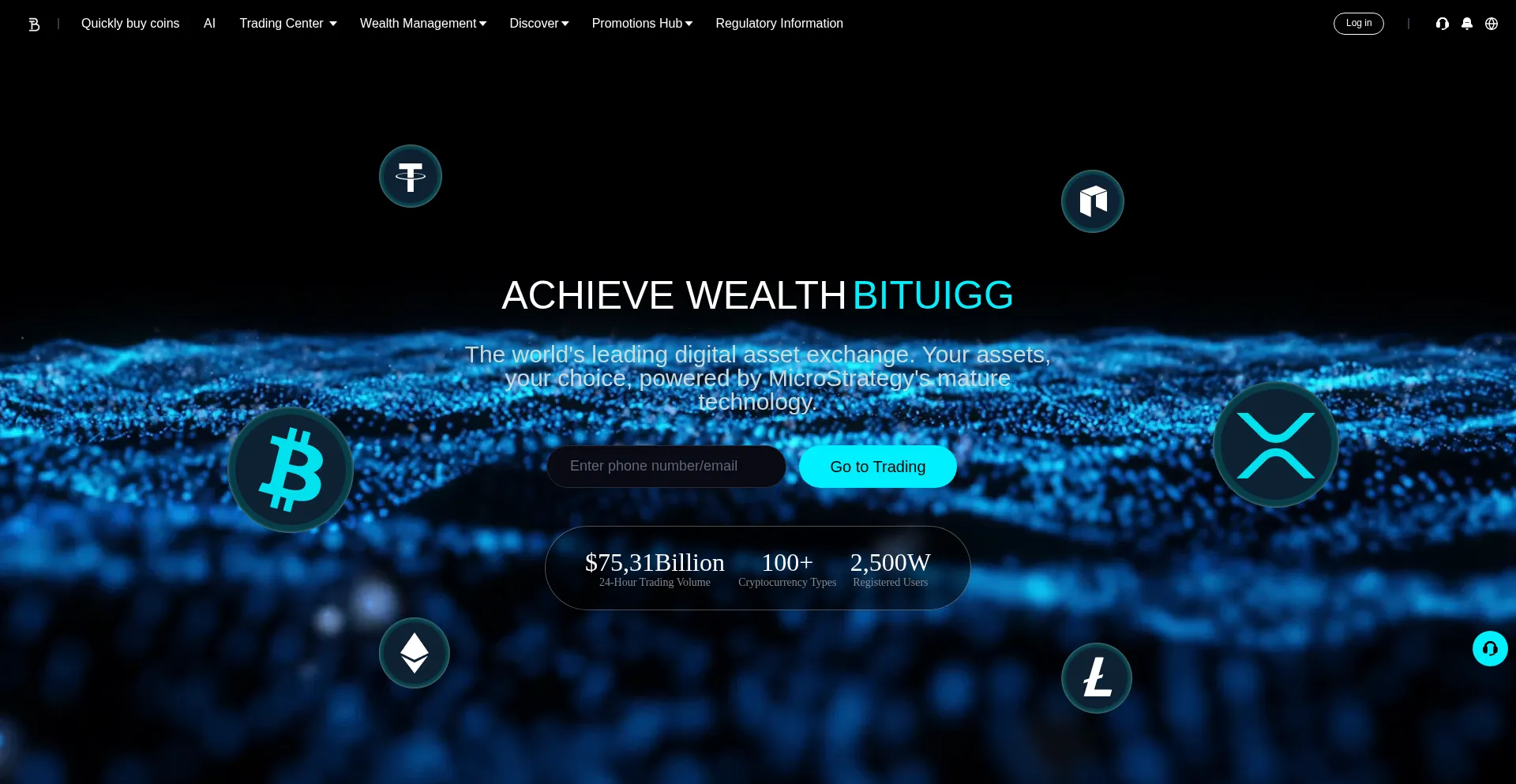 Bituigg.com