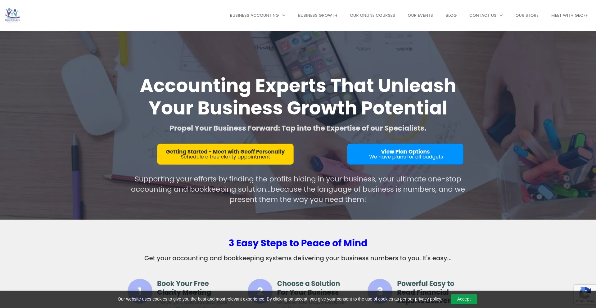 ¿És Seguro y Confiable Bizgrowth.co.za?