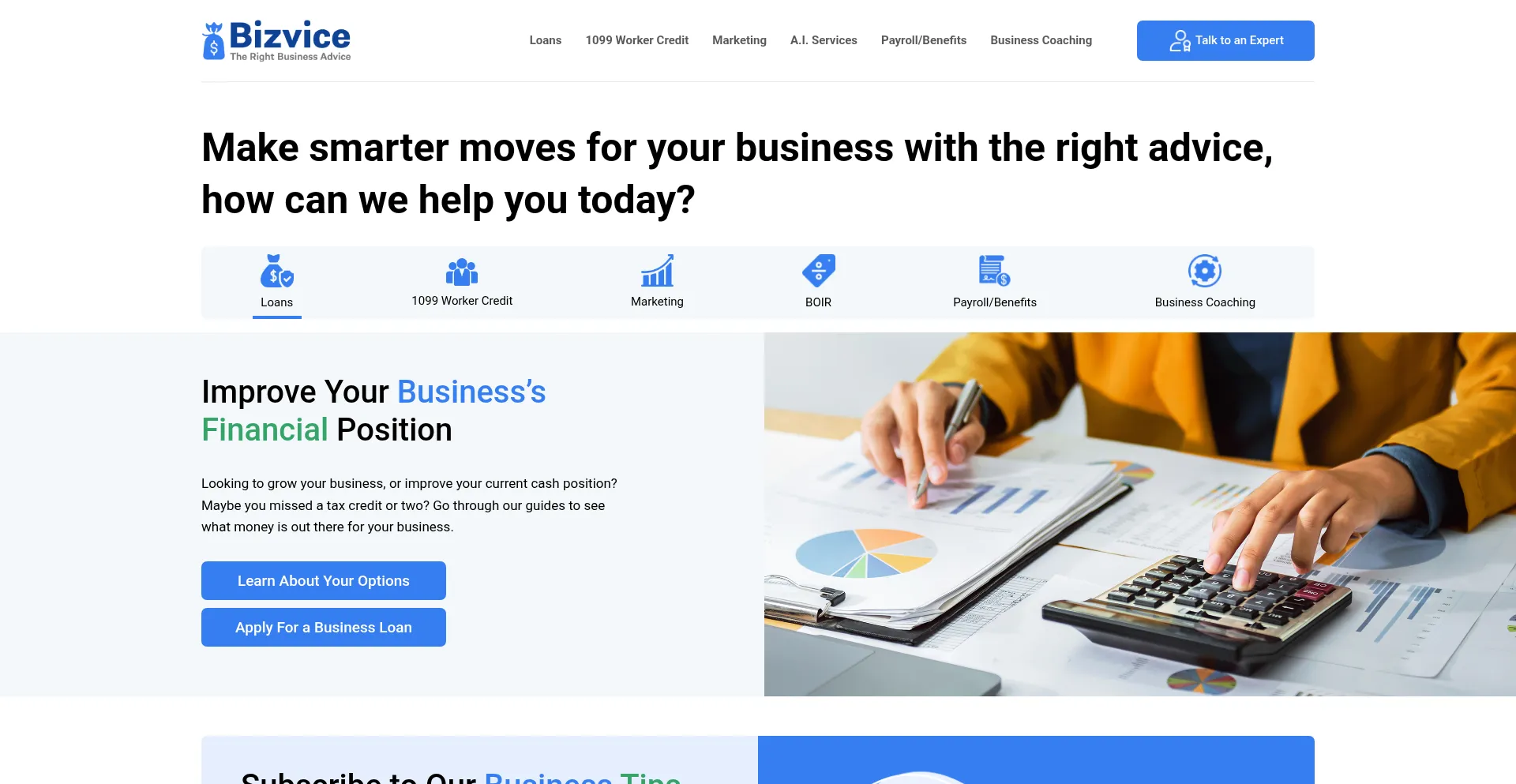 Website screenshot of Bizvice.com