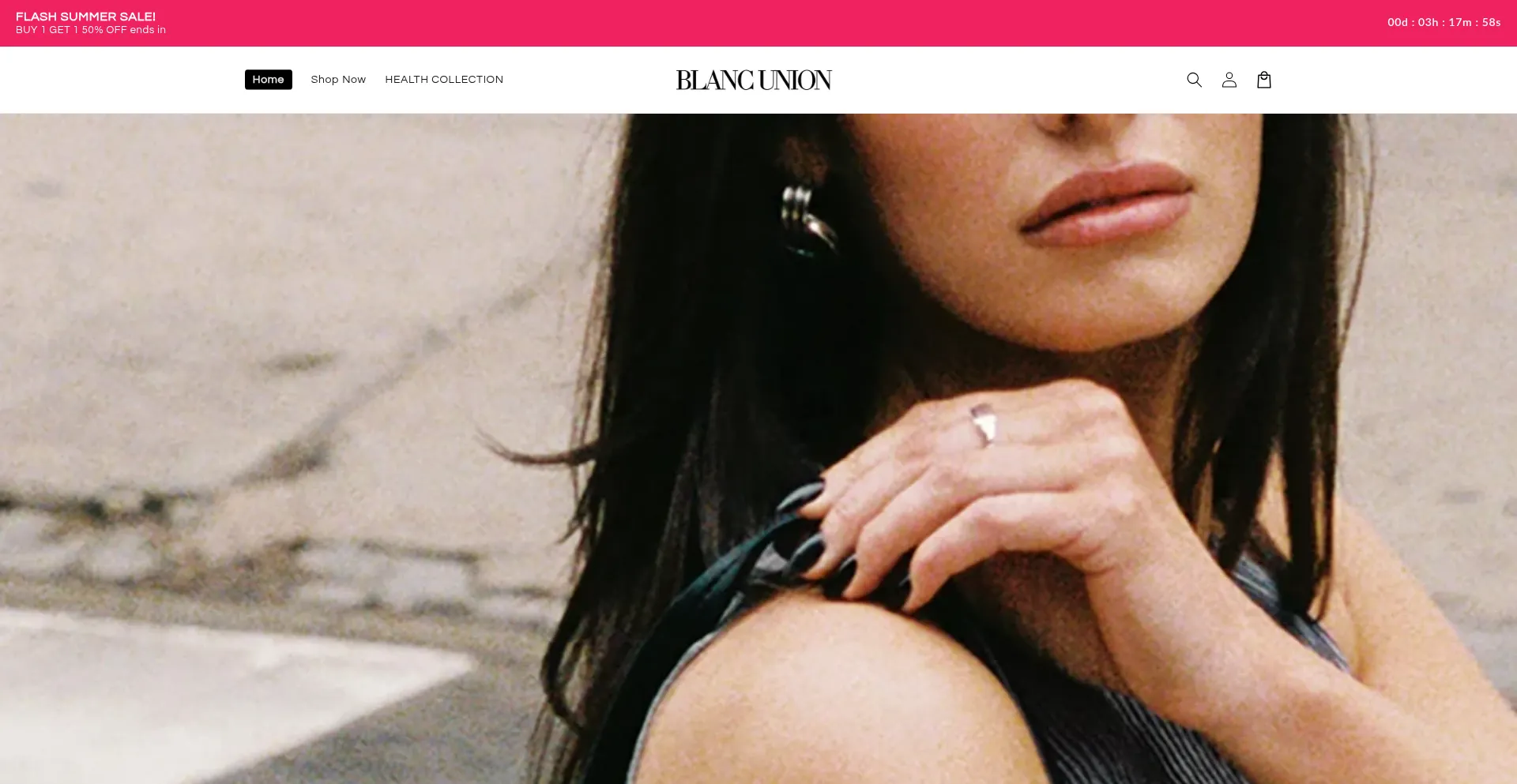 Website screenshot of Blancunion.com