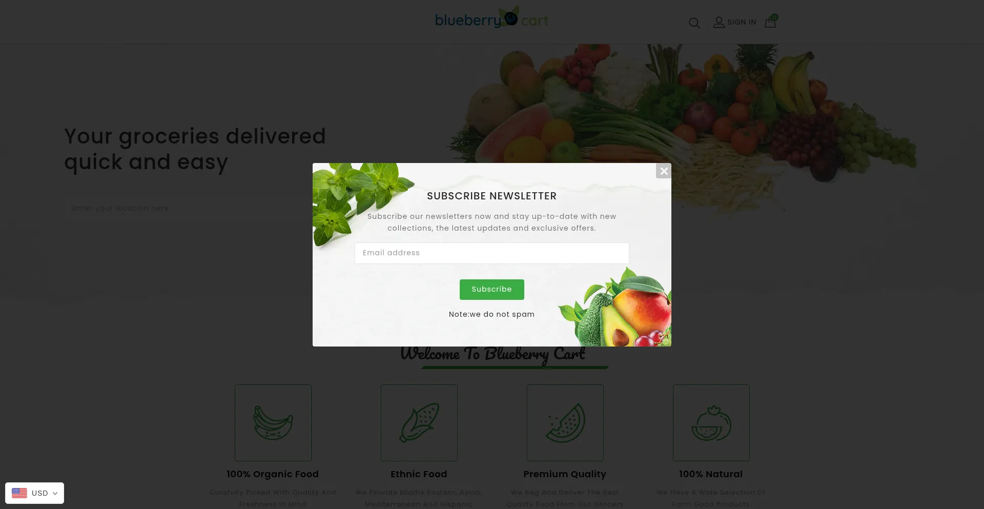 Website screenshot of Blueberrycart.com