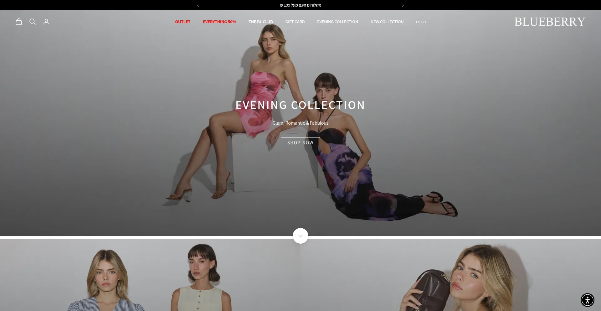 Website screenshot of Blueberrytlv.co.il