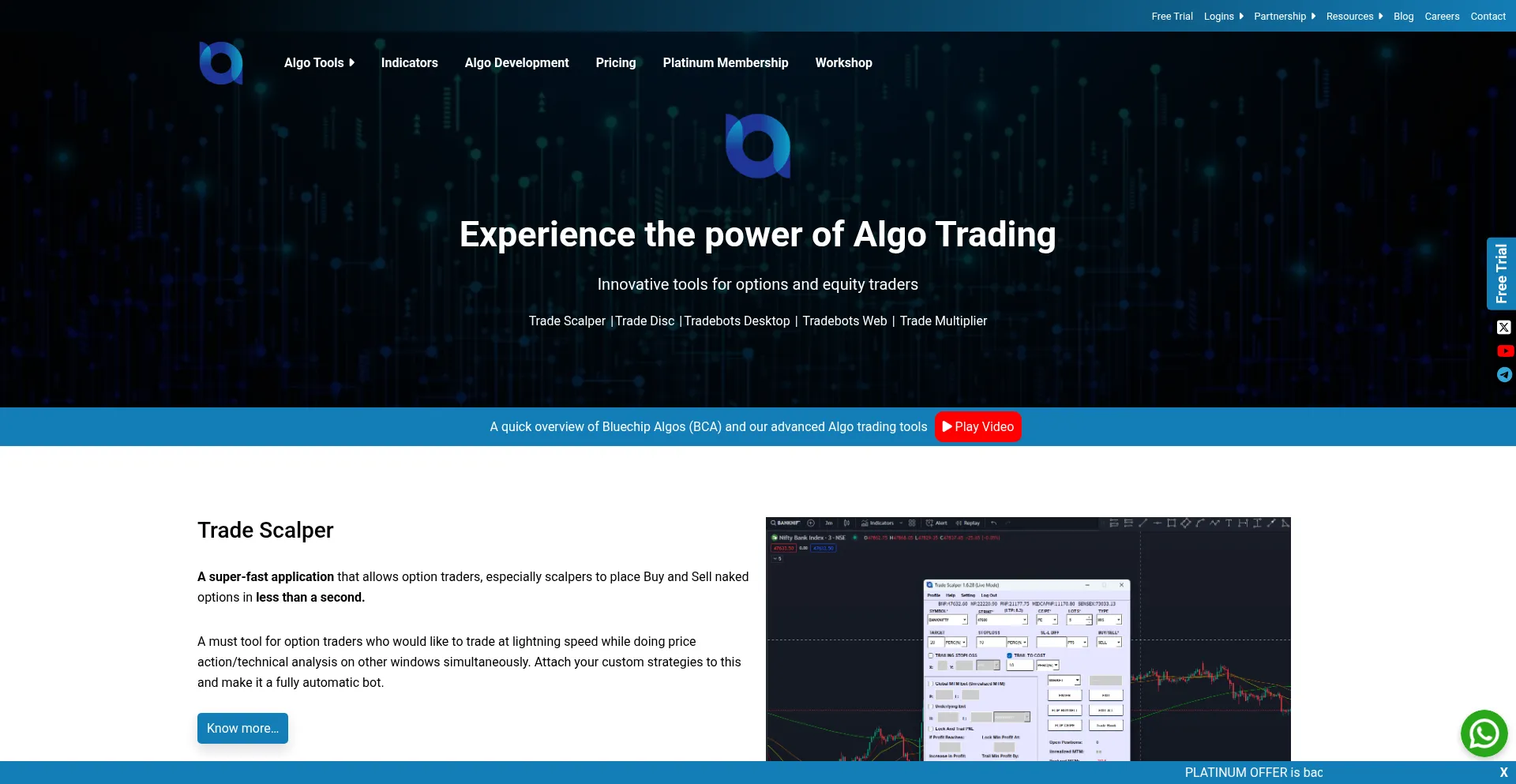 Website screenshot of Bluechipalgos.com