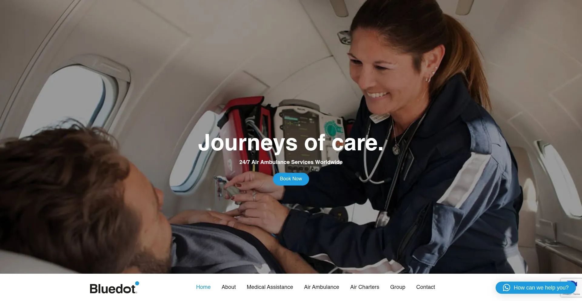 Website screenshot of Bluedotairambulance.com