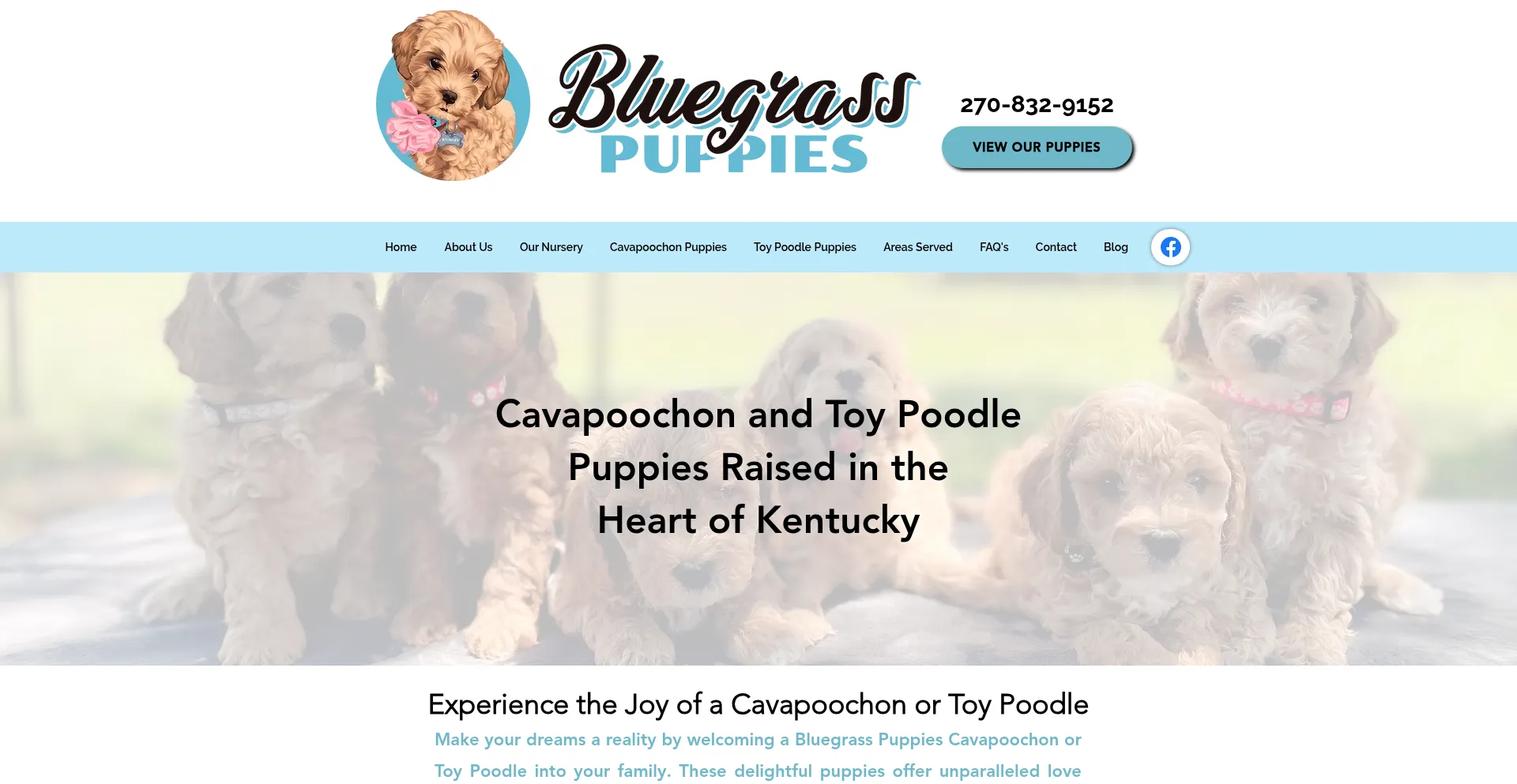 Website screenshot of Bluegrasspuppies.com