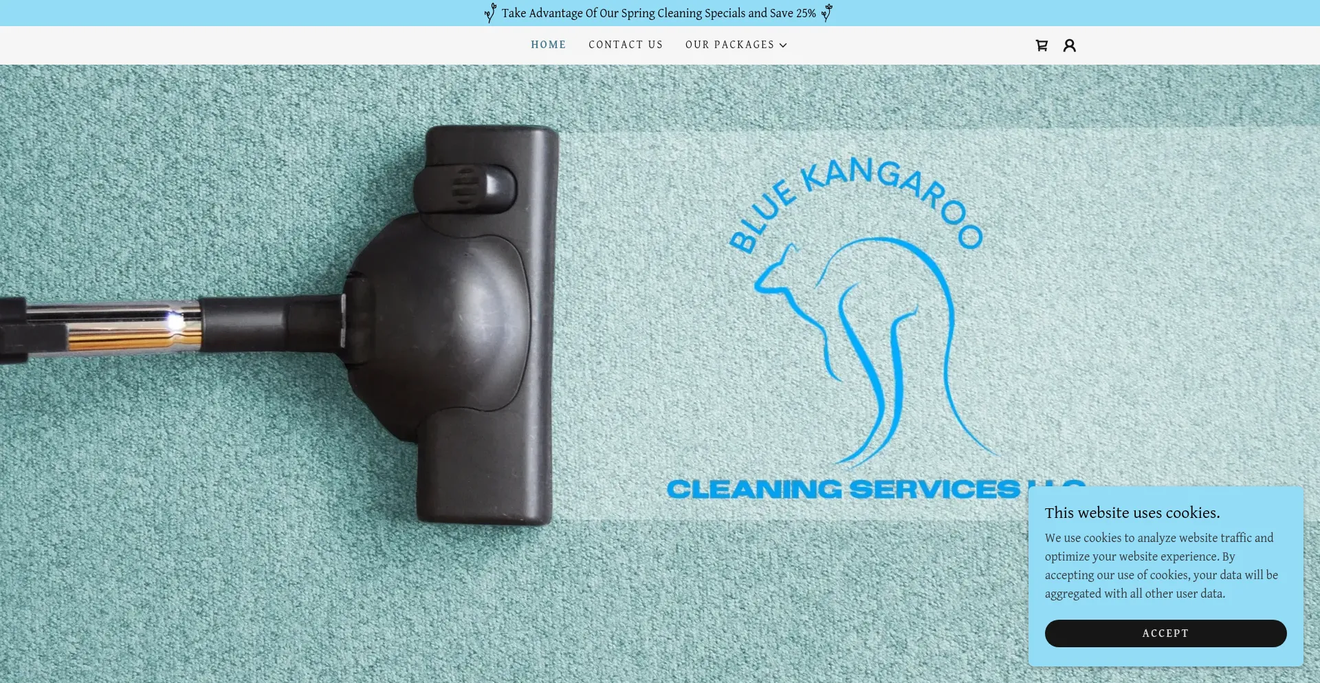 Website screenshot of Bluekangaroocs.com