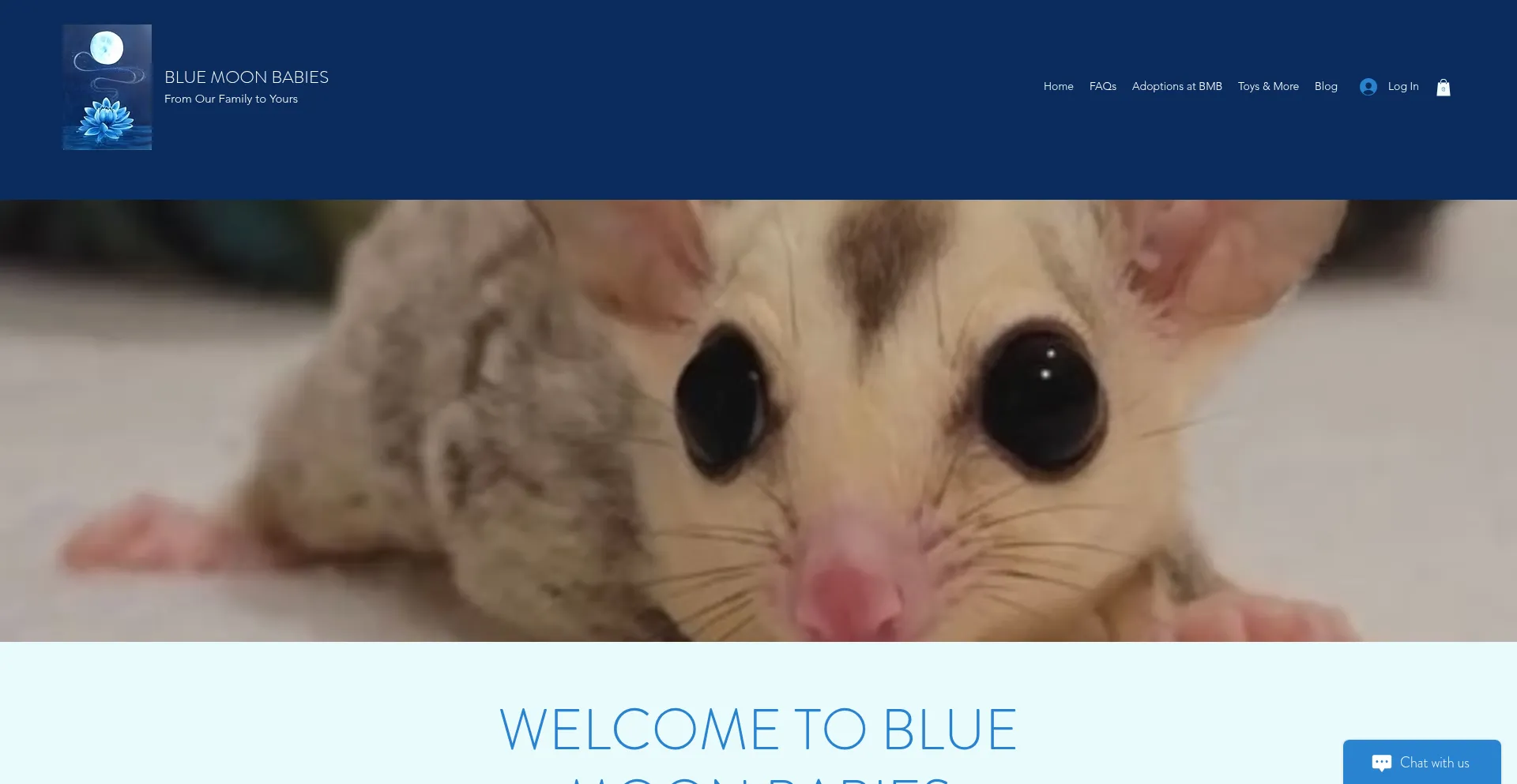 ¿És Seguro y Confiable Bluemoonbabies.com?