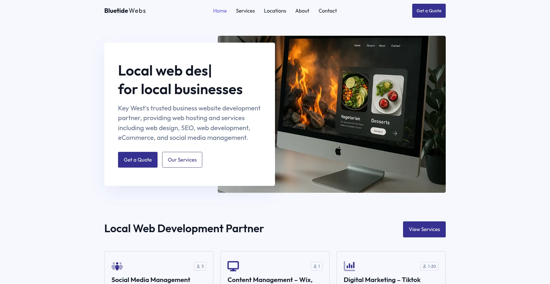 Website screenshot of Bluetidewebs.com