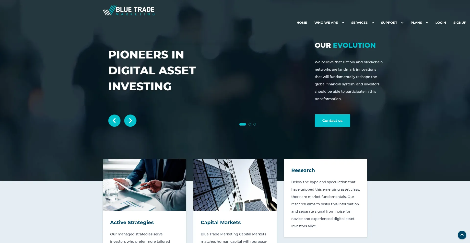 Website screenshot of Bluetrademarketing.com