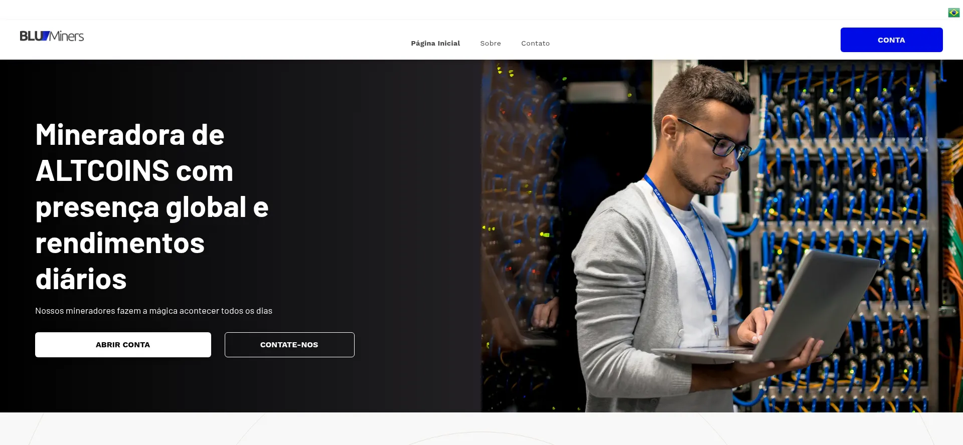 Website screenshot of Bluminers.com
