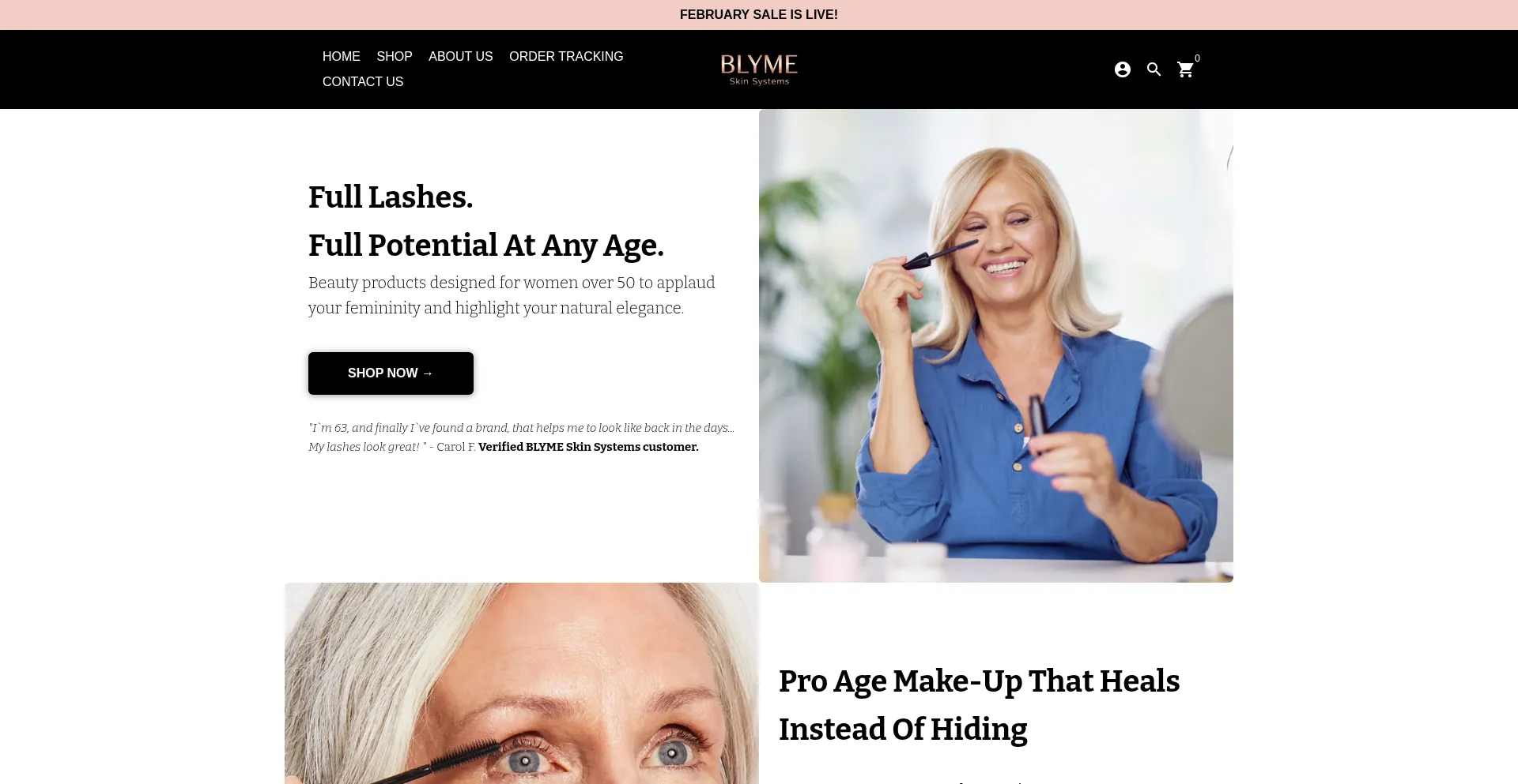 Blymeskinsystems.com